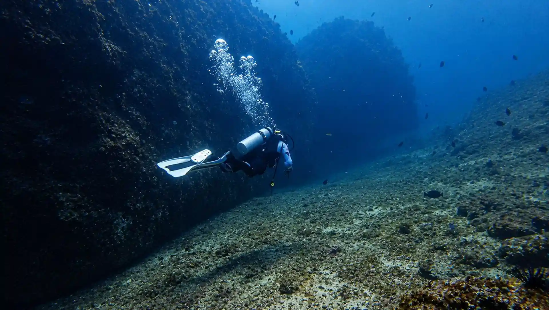 Dive site photo