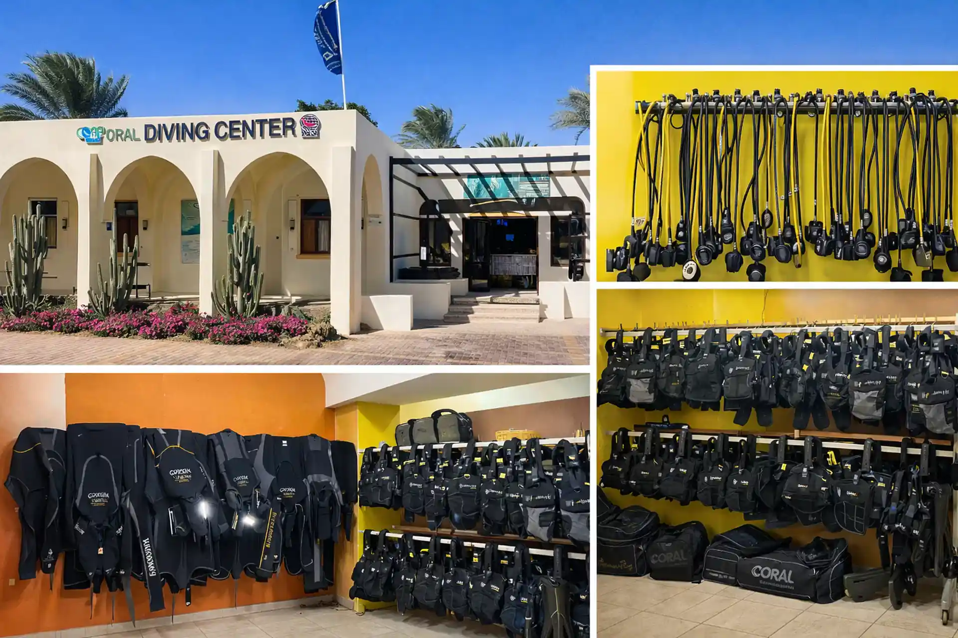 Dive Center / Facilities: Our PADI 5 Star Dive Center in Sharm El Sheikh.