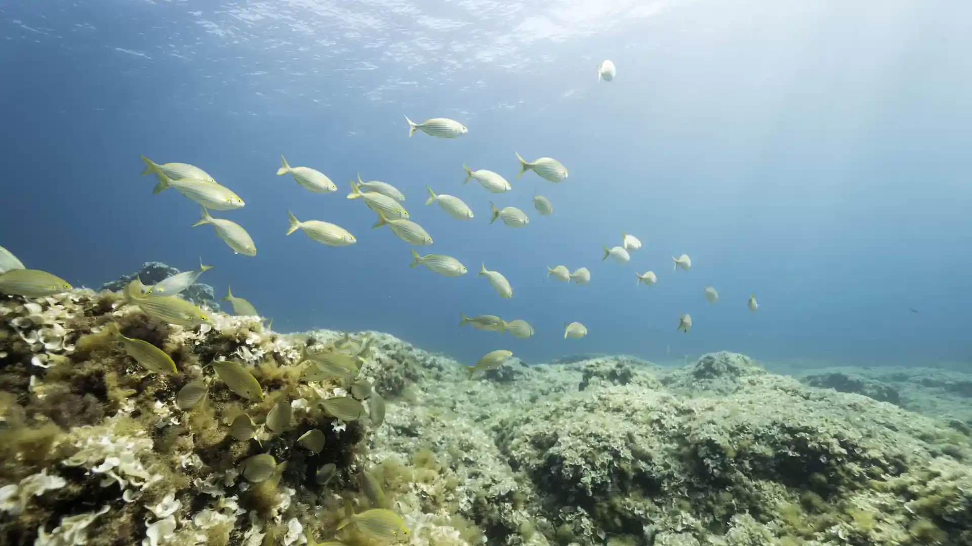 Foto des Tauchplatzes