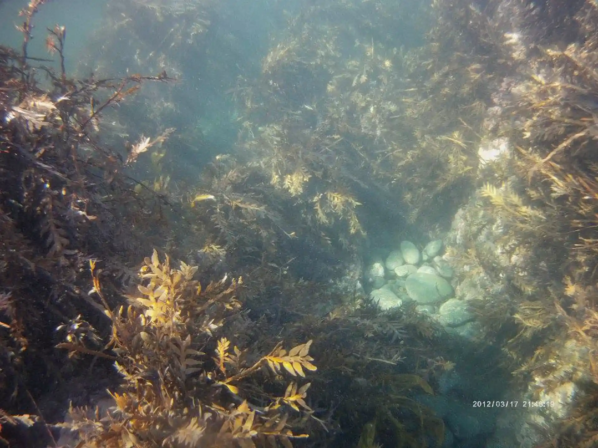 Dive site photo