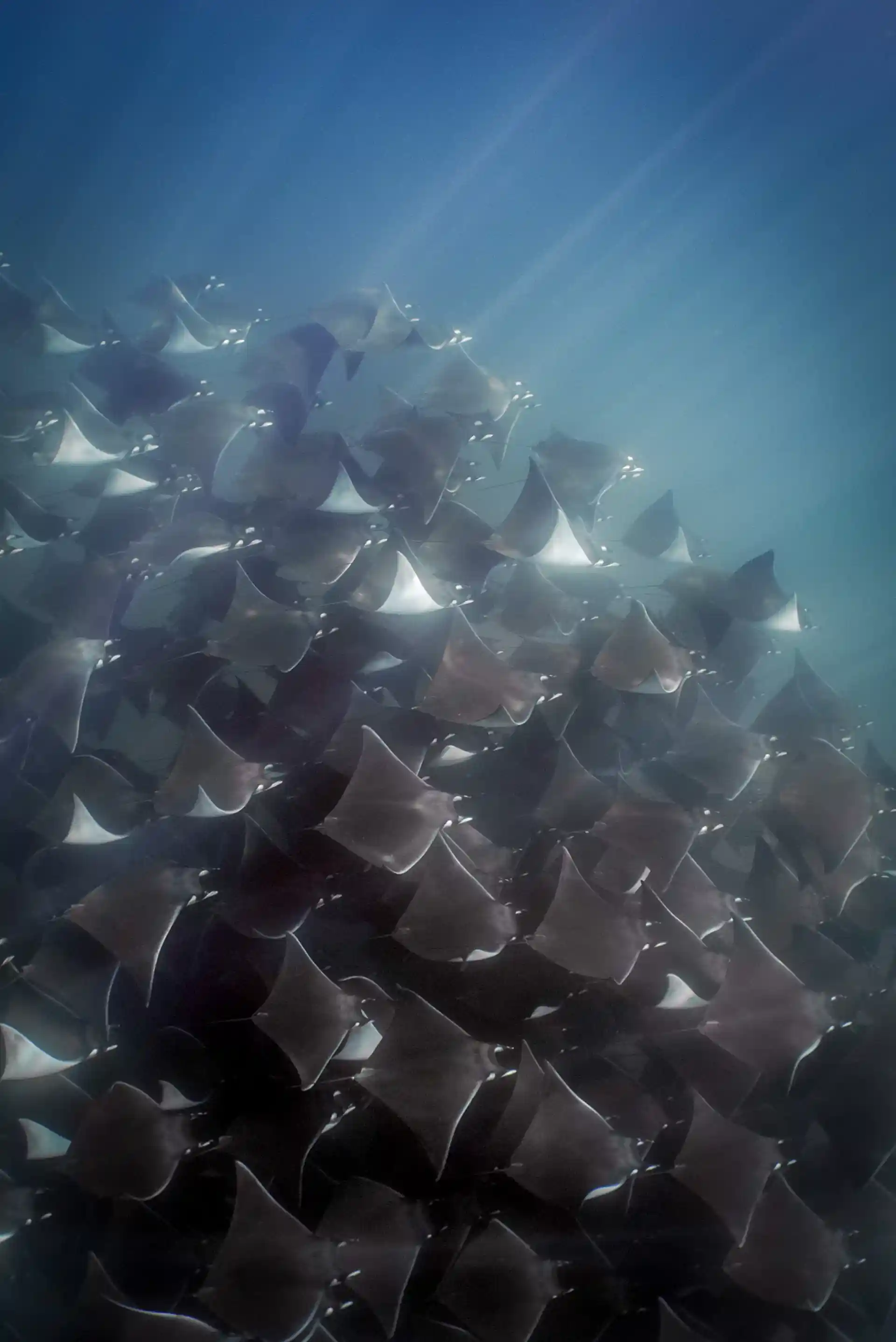 Foto de la actividad