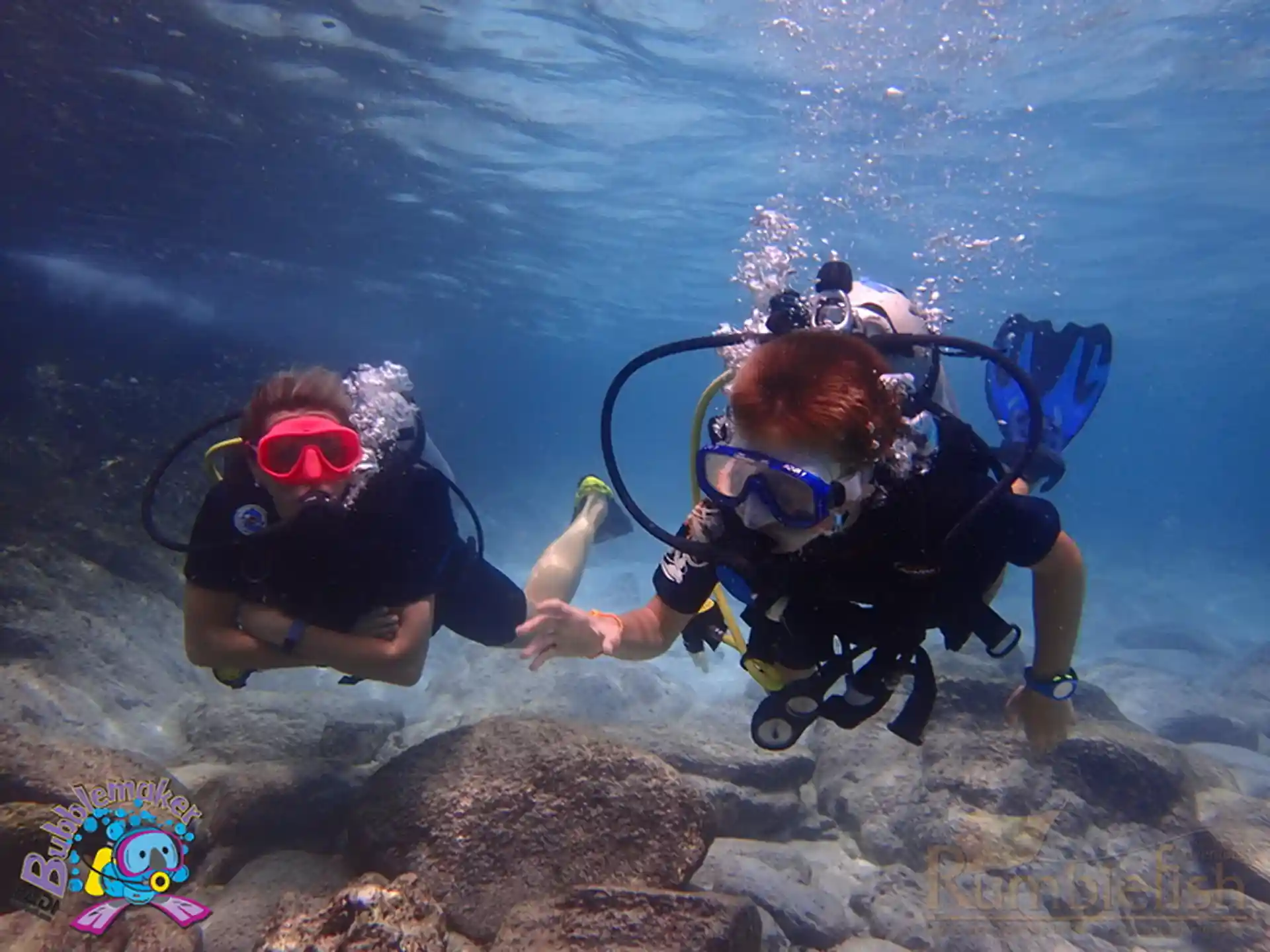 Nos especializamos en ayudar a los niños a adquirir experiencia de buceo con sus padres.
