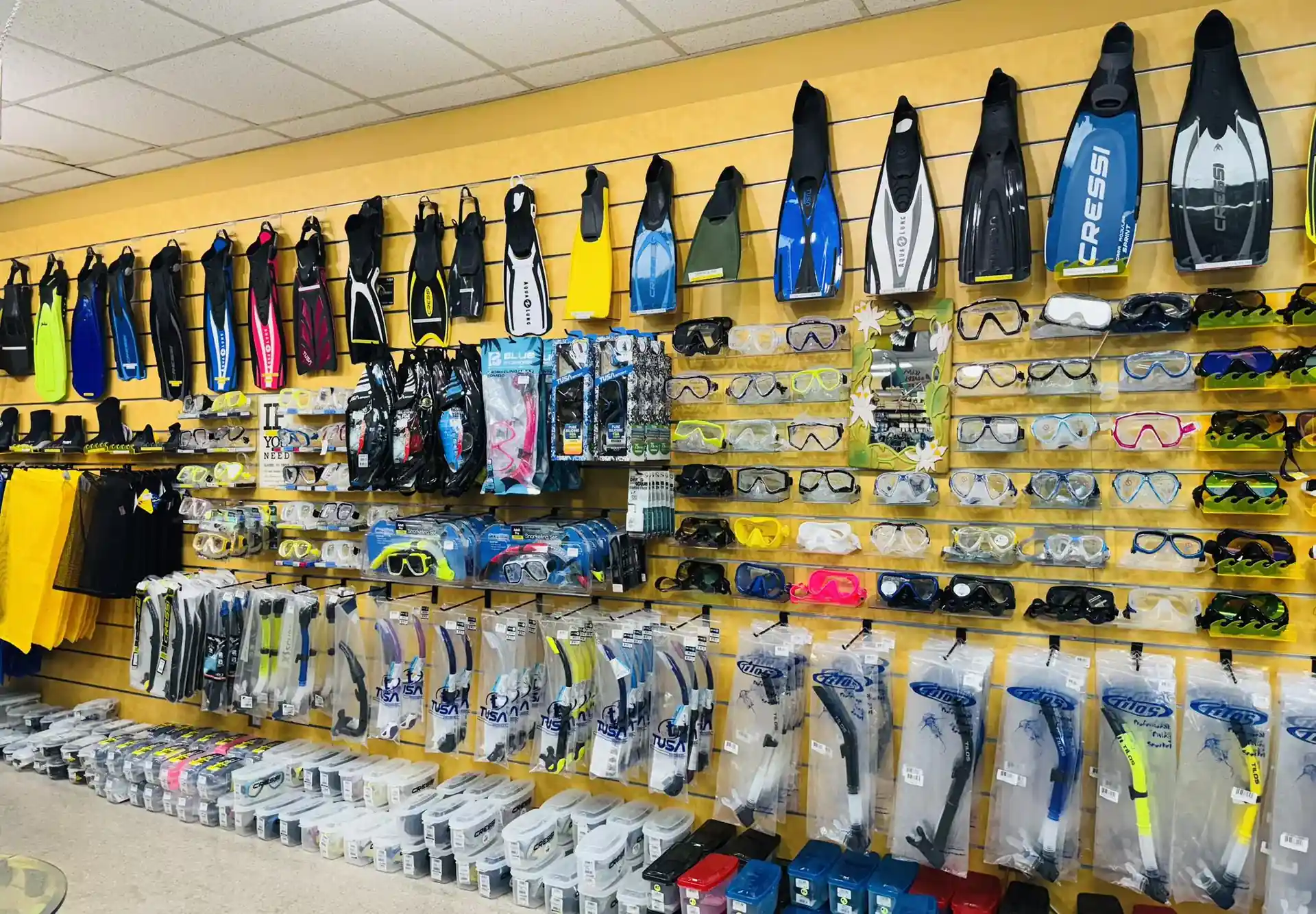 Dive shop photo
