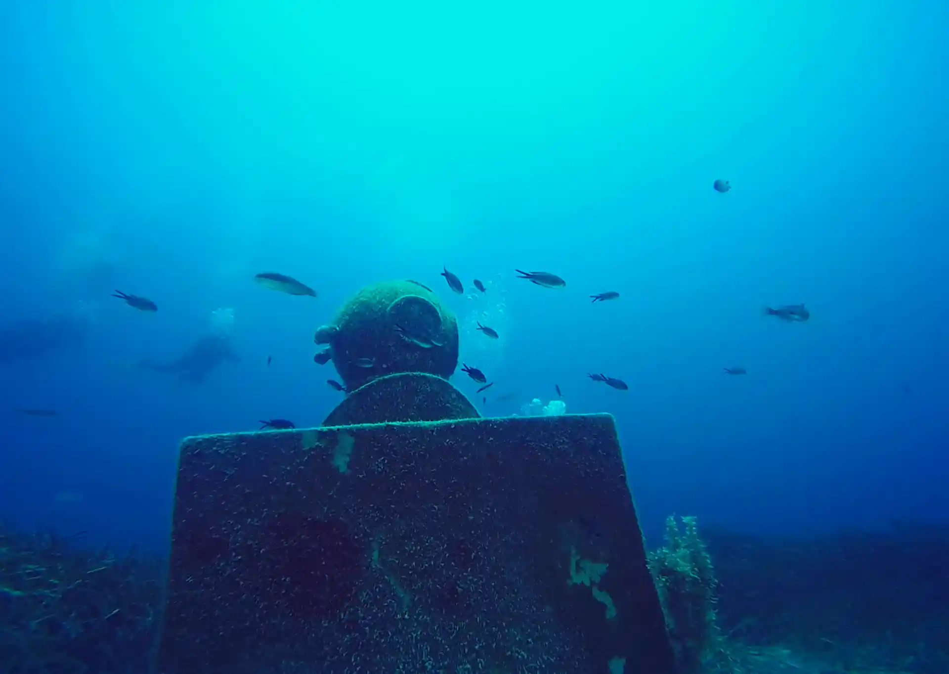 Dive site photo
