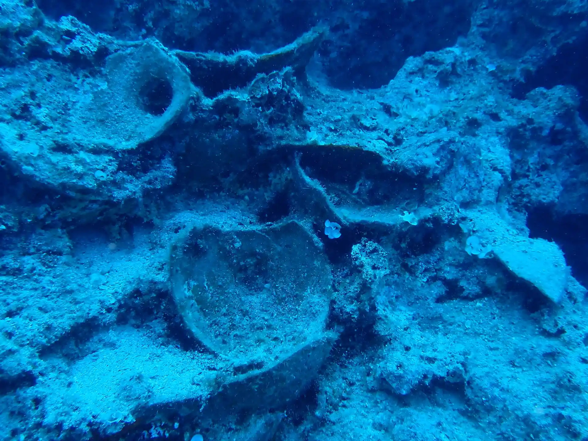 Dive site photo