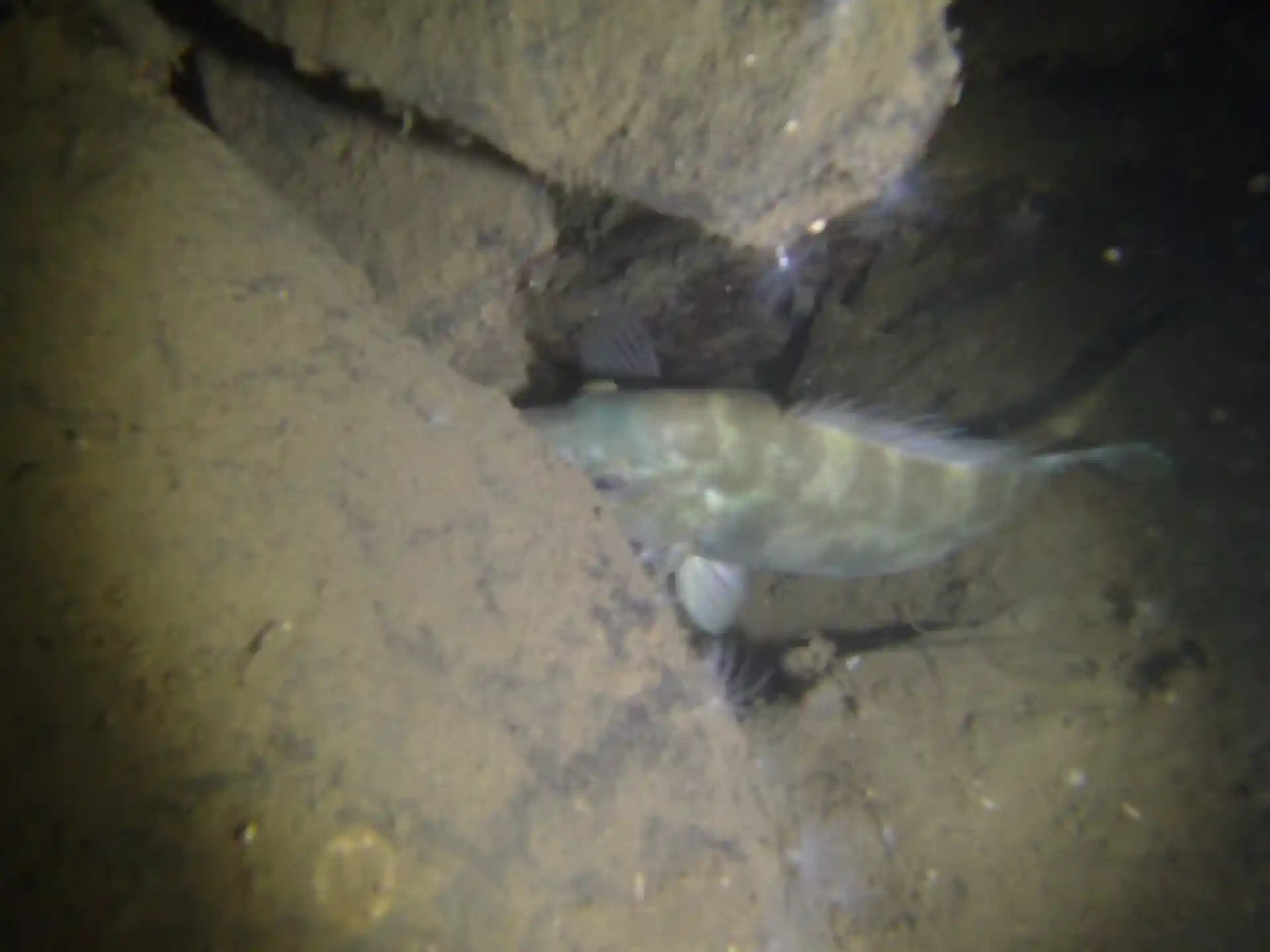 다이빙 포인트 사진