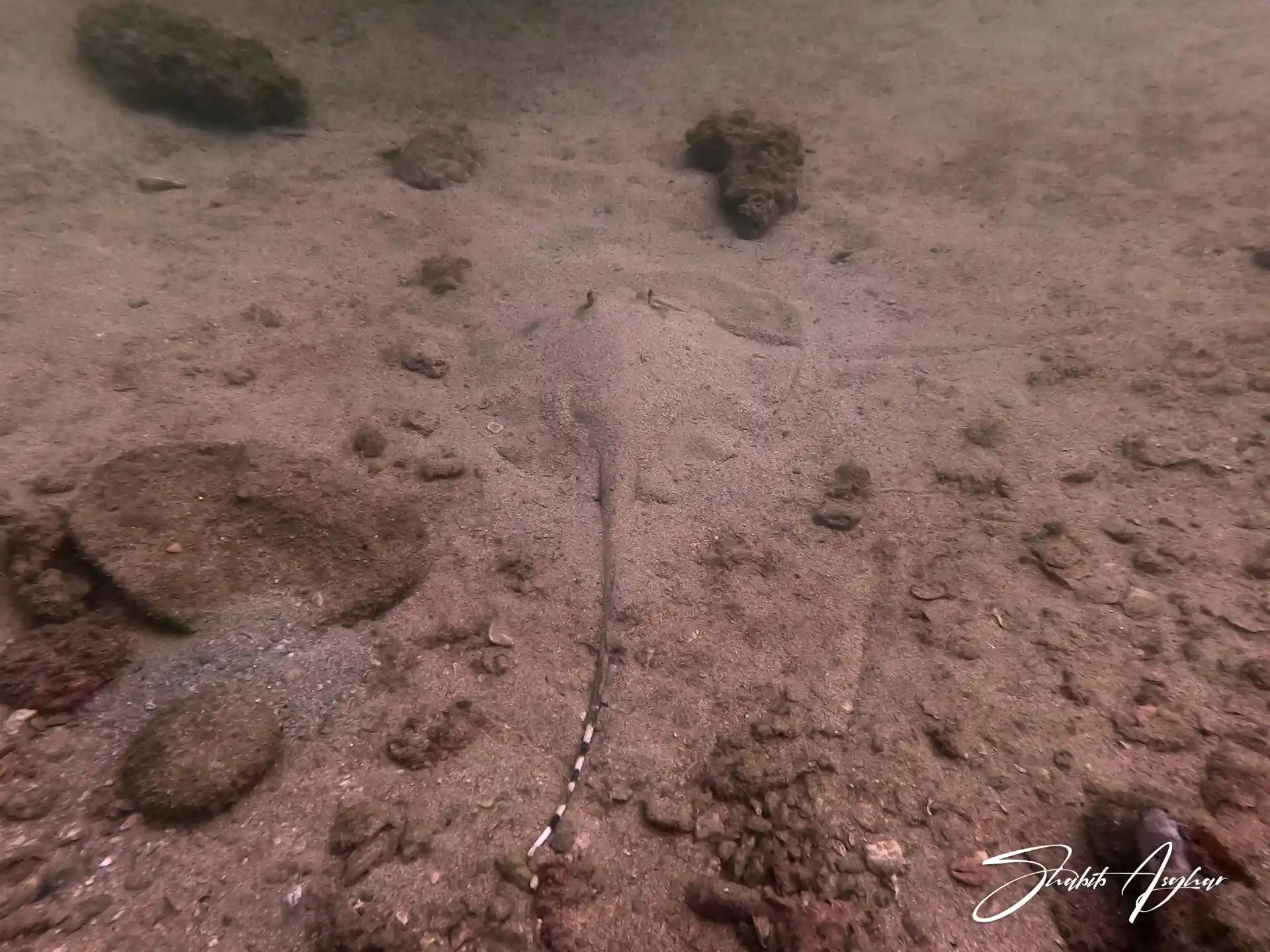 다이빙 포인트 사진