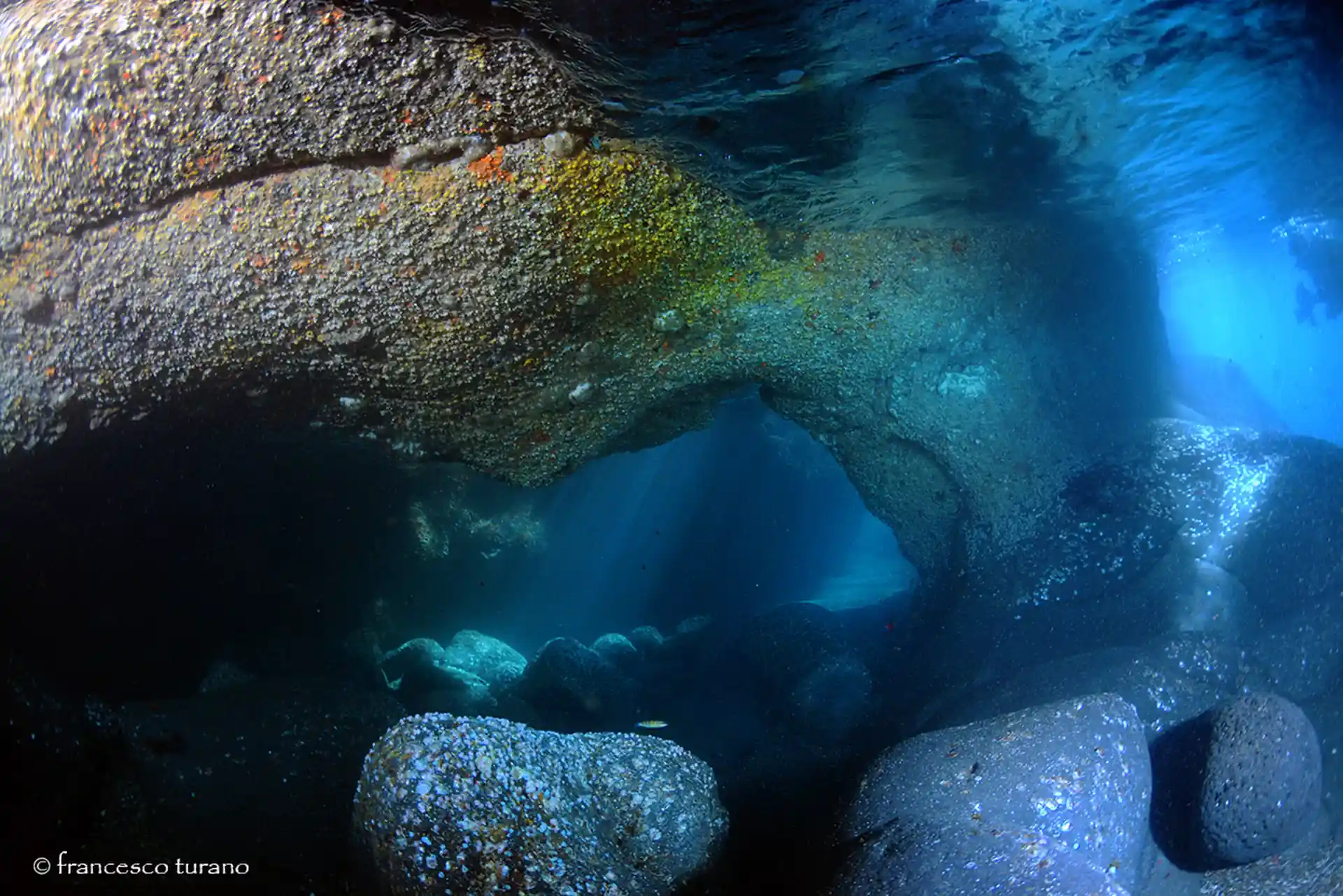 ダイビングサイトの写真