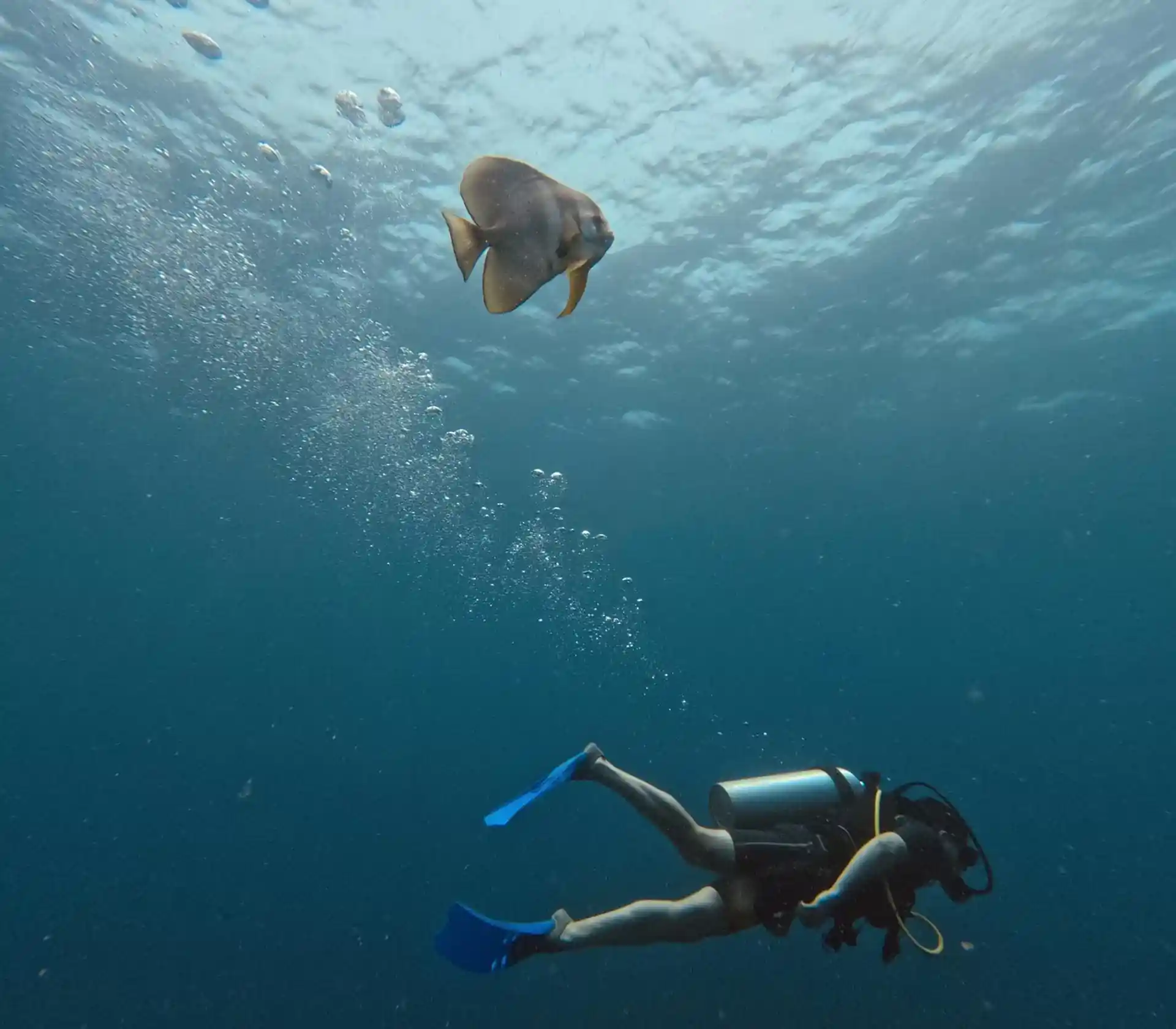 Dive site photo