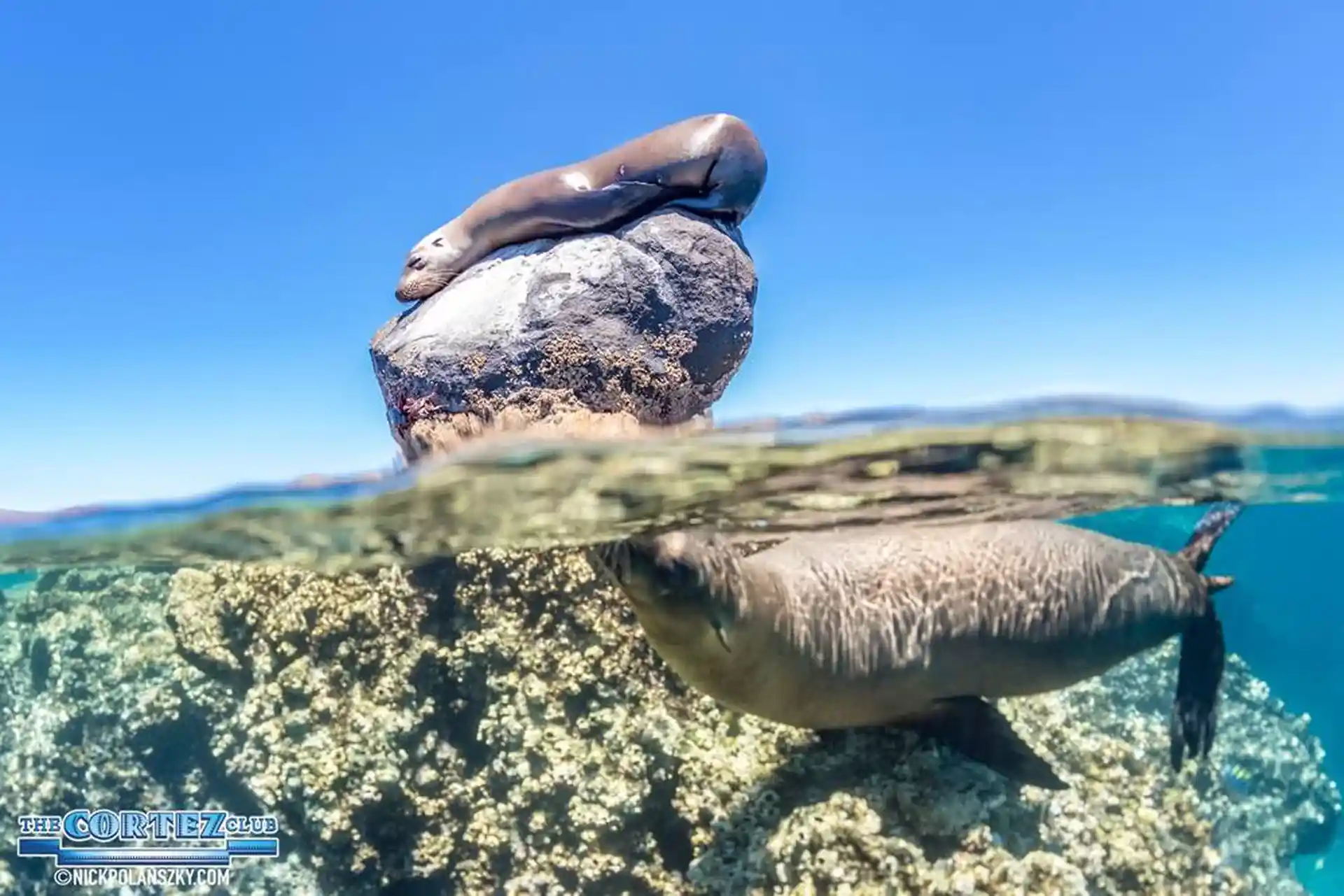 Foto de la tienda de buceo