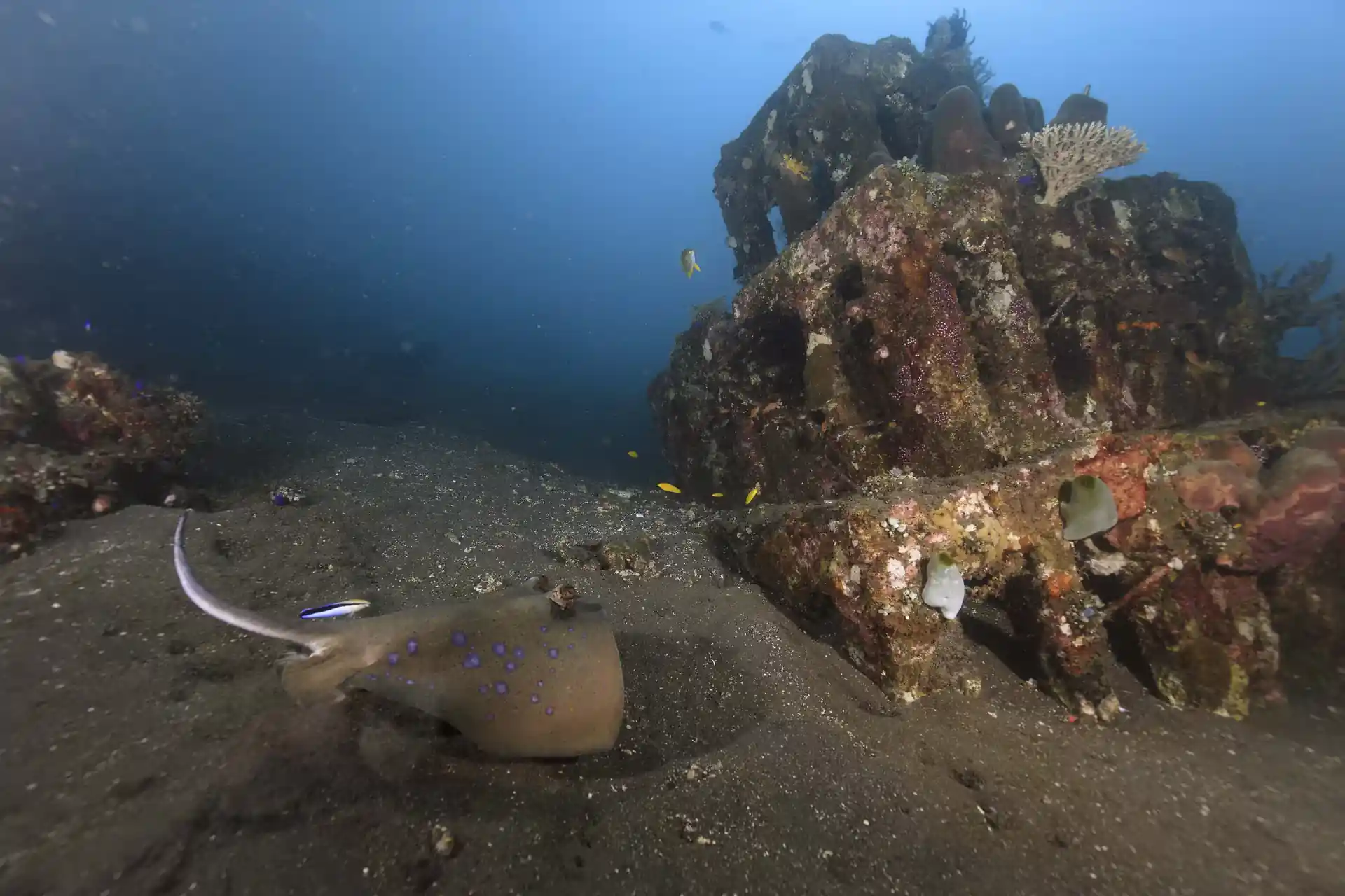 Photo de l'activité