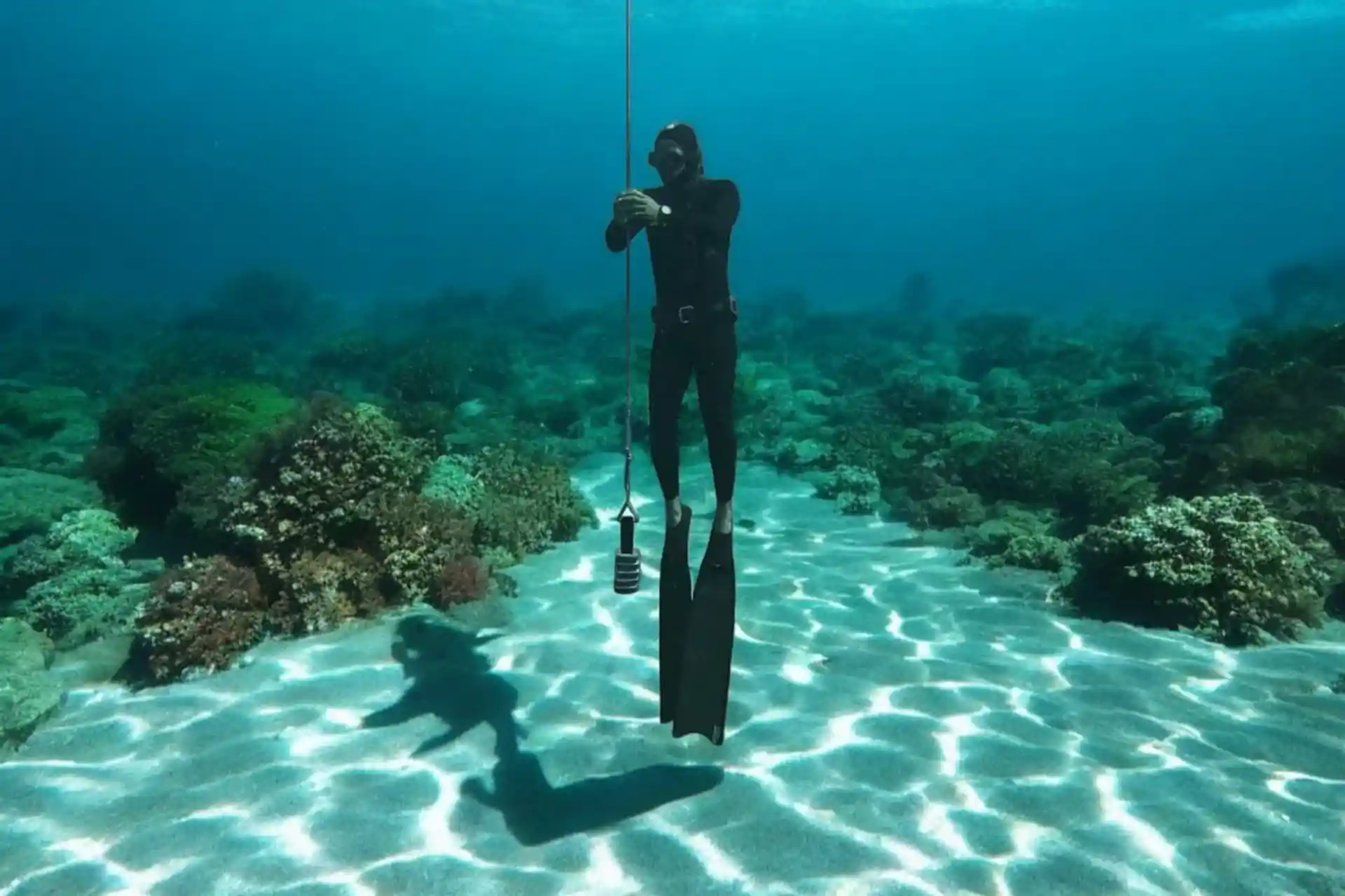 다이빙 포인트 사진