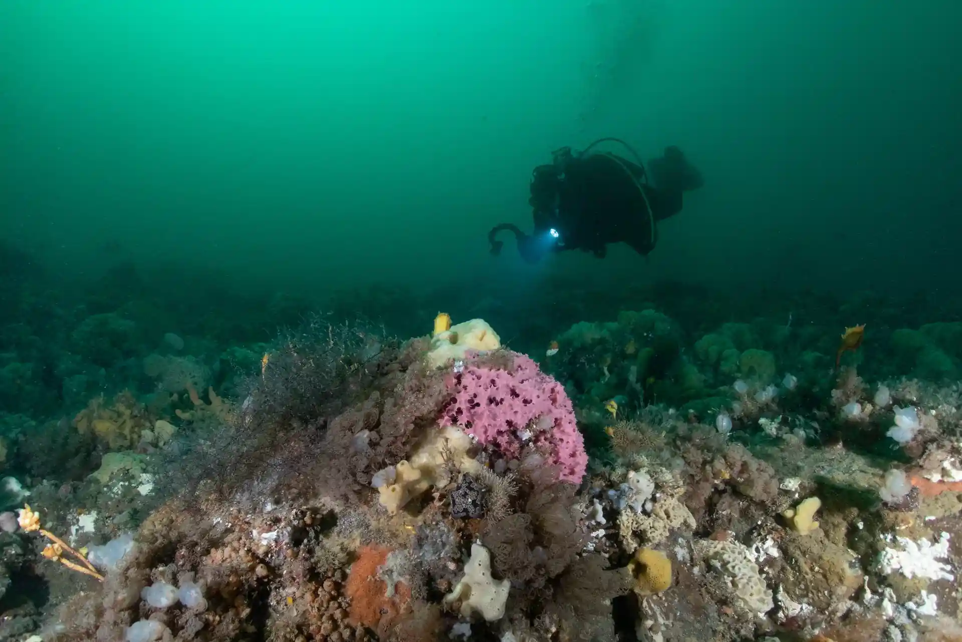 다이빙 포인트 사진