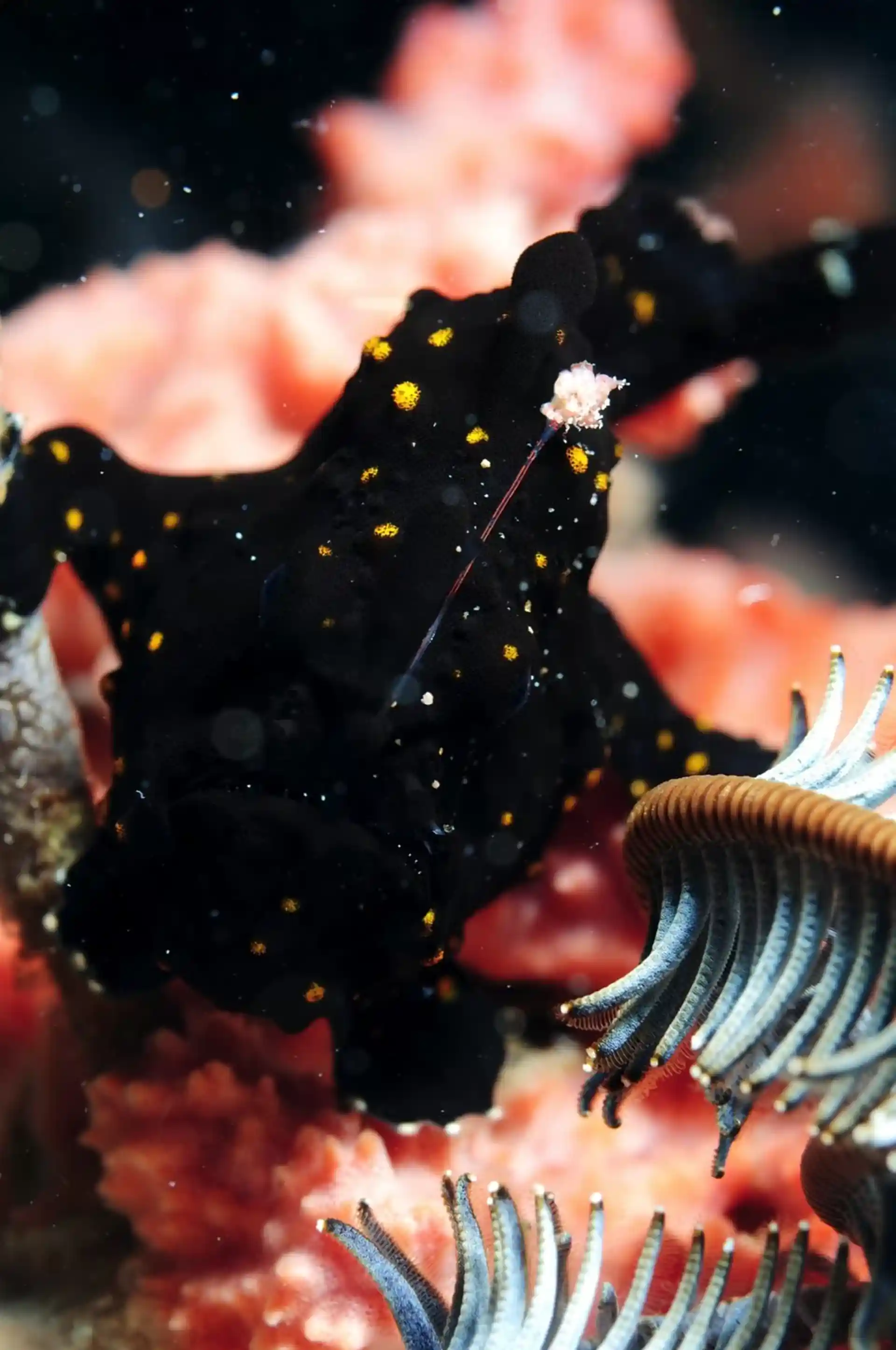 다이빙 포인트 사진