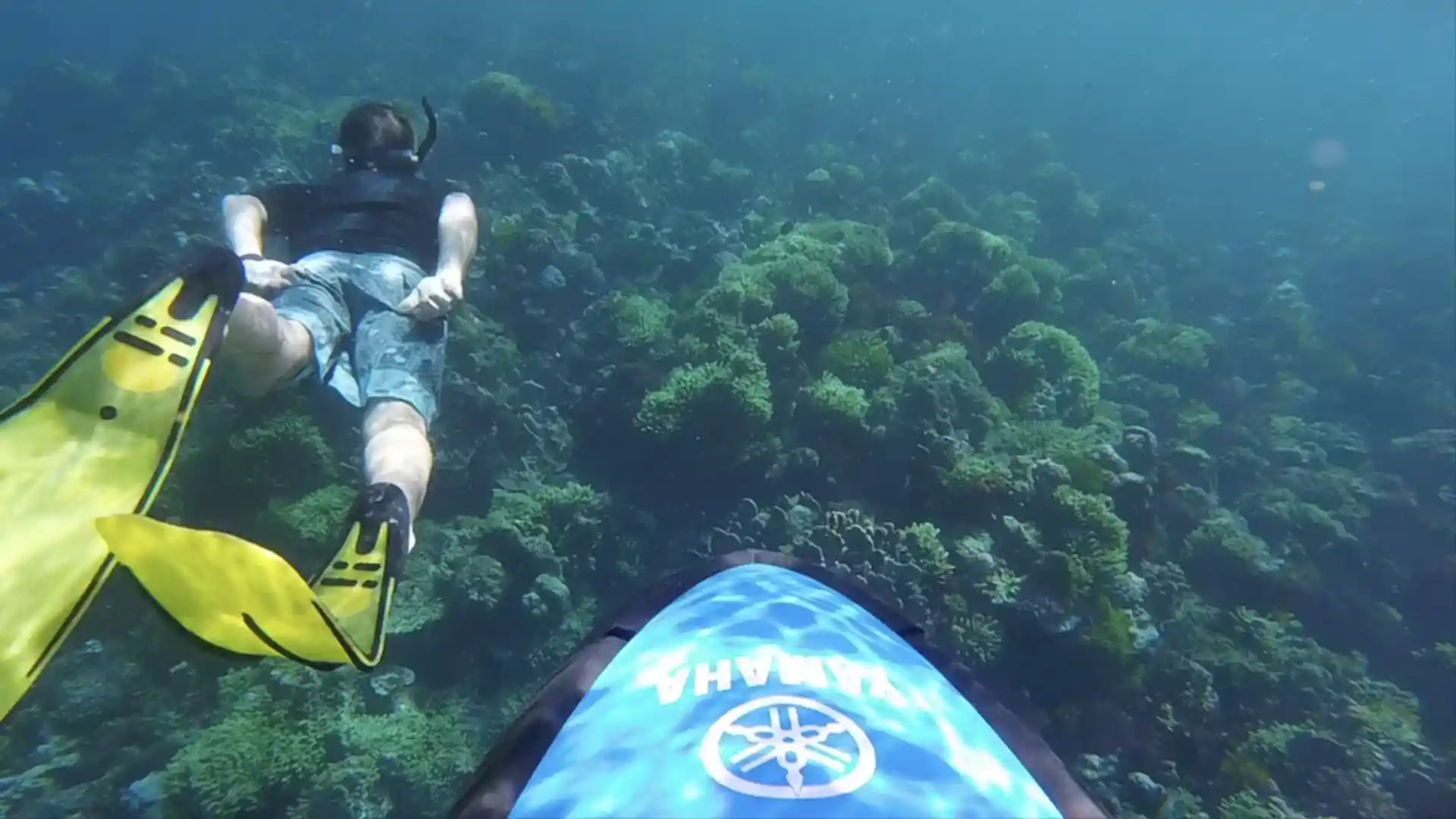 Photo de l'activité