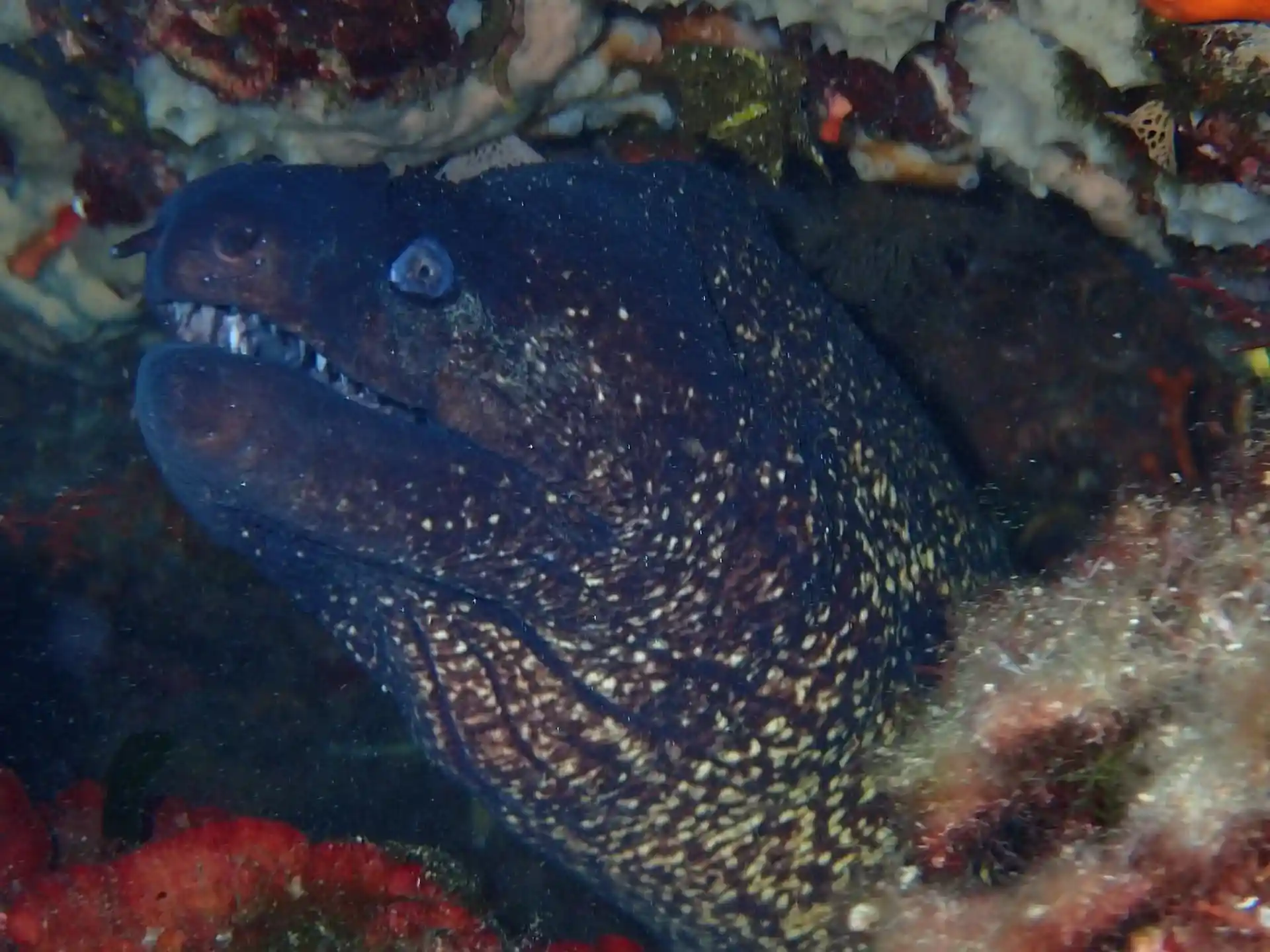 다이빙 포인트 사진