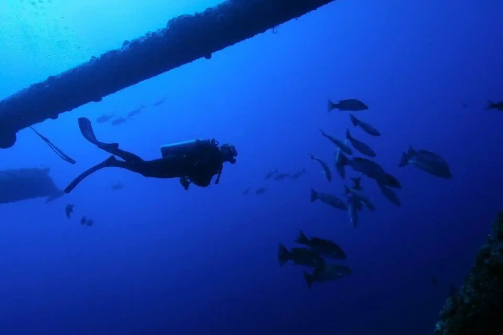 Dive shop photo