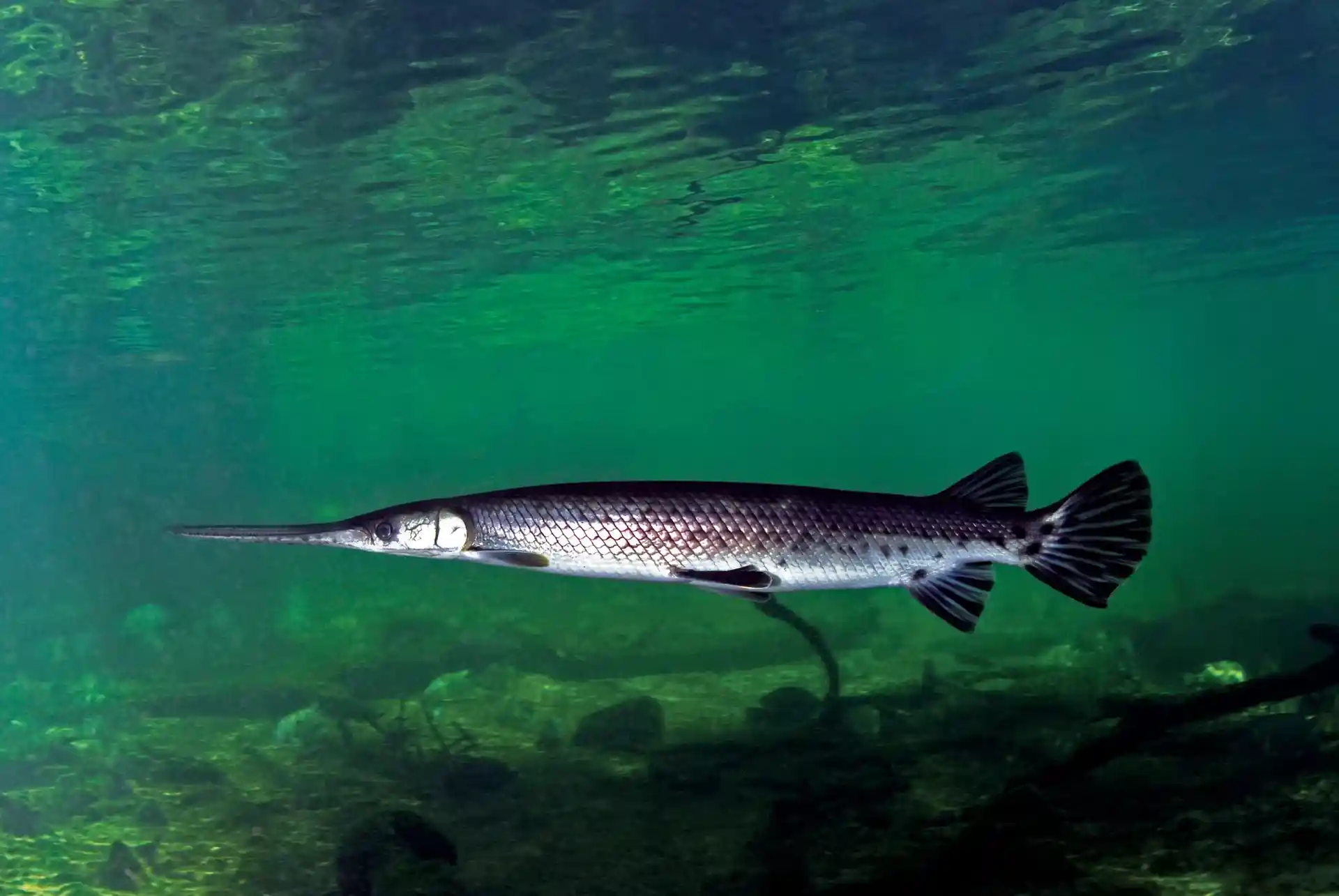 Foto des Tauchplatzes