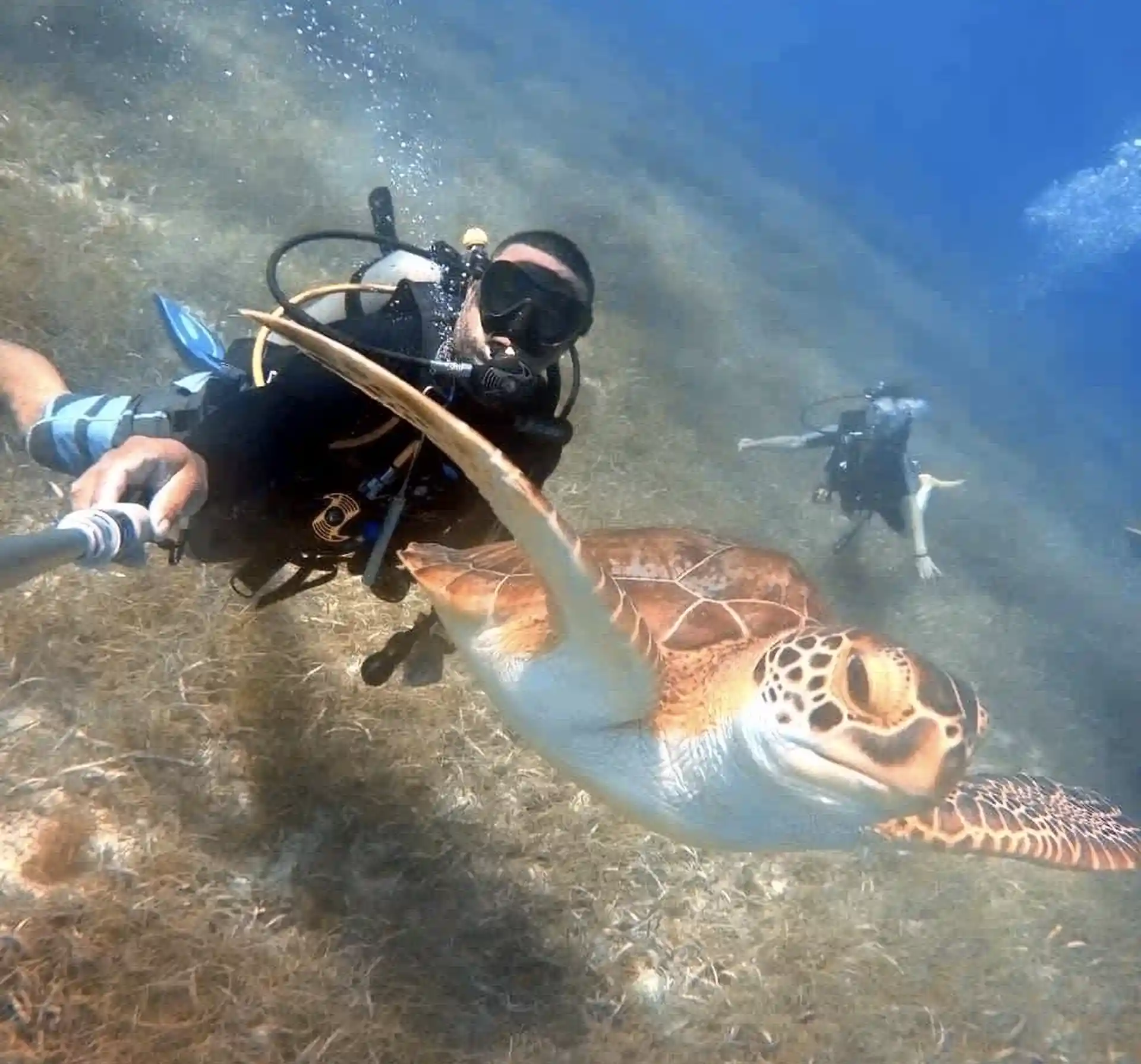 Your San Andrés underwater adventure begins at Blue Life diving center! encounters