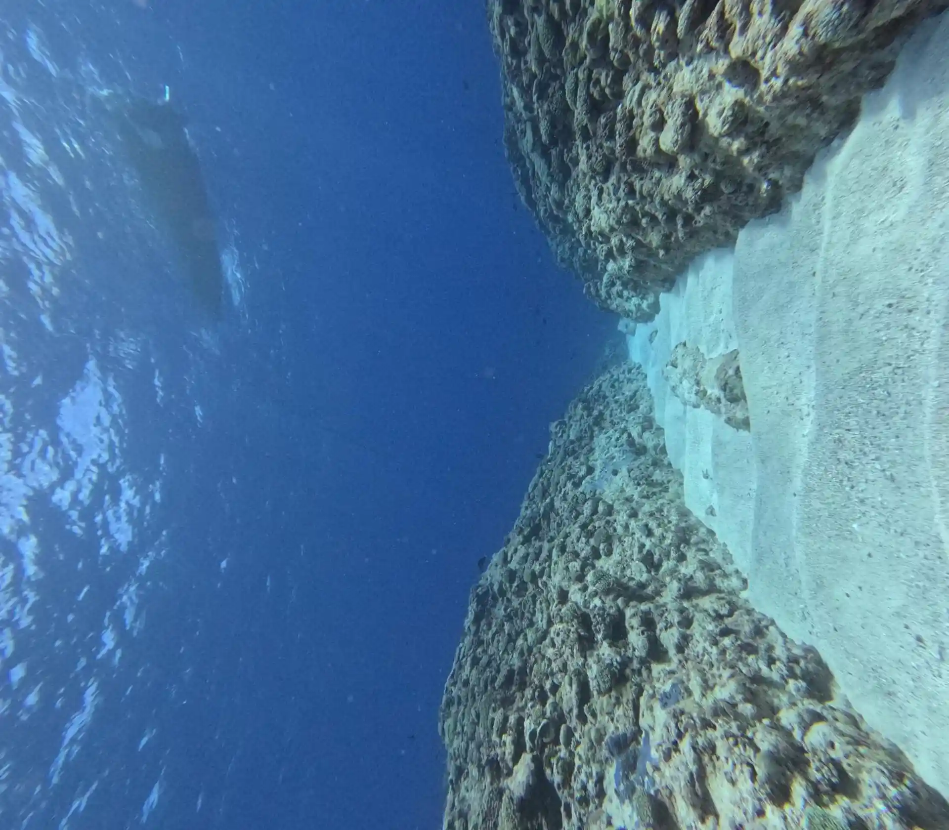 Dive site photo