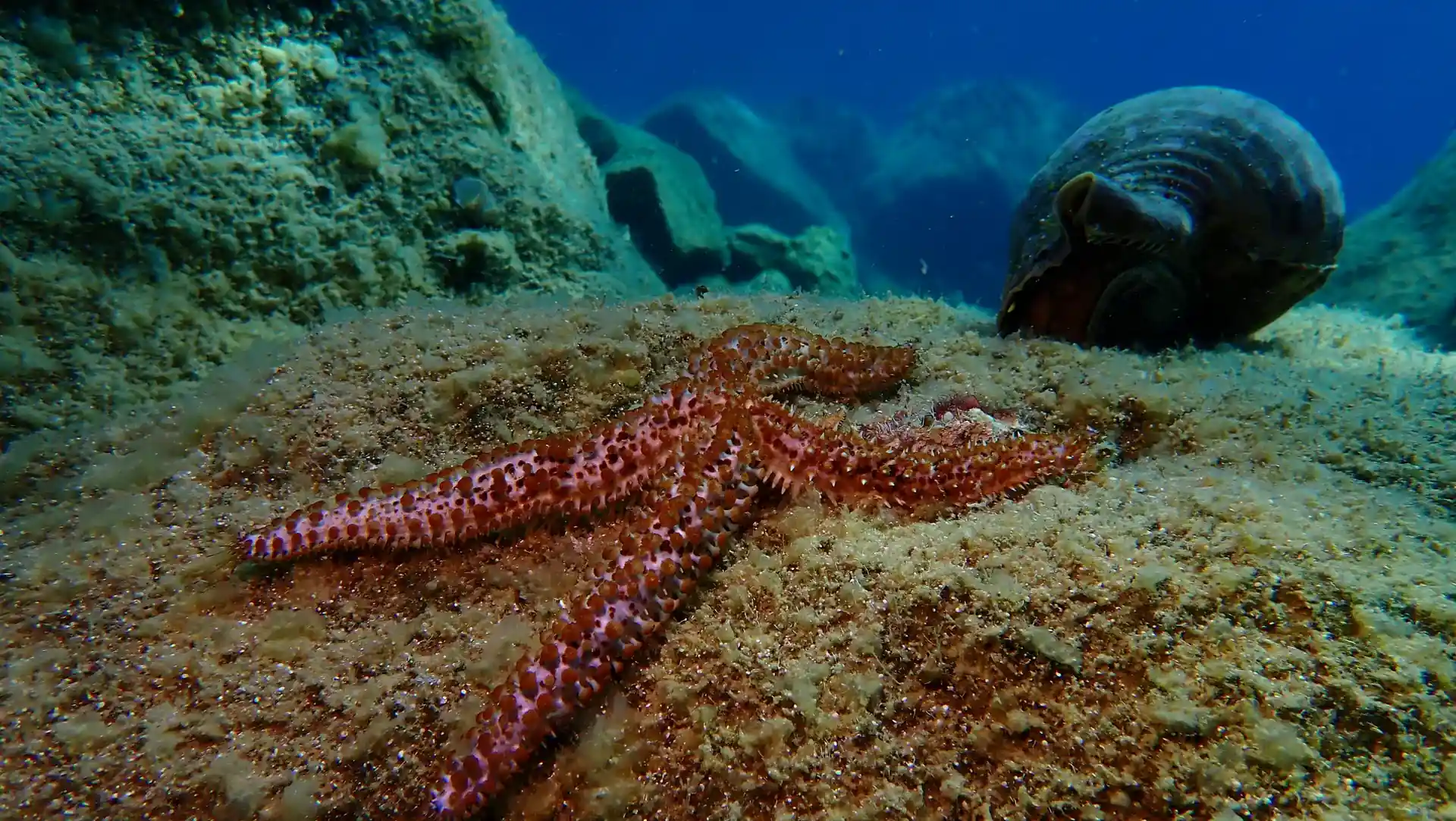 다이빙 포인트 사진