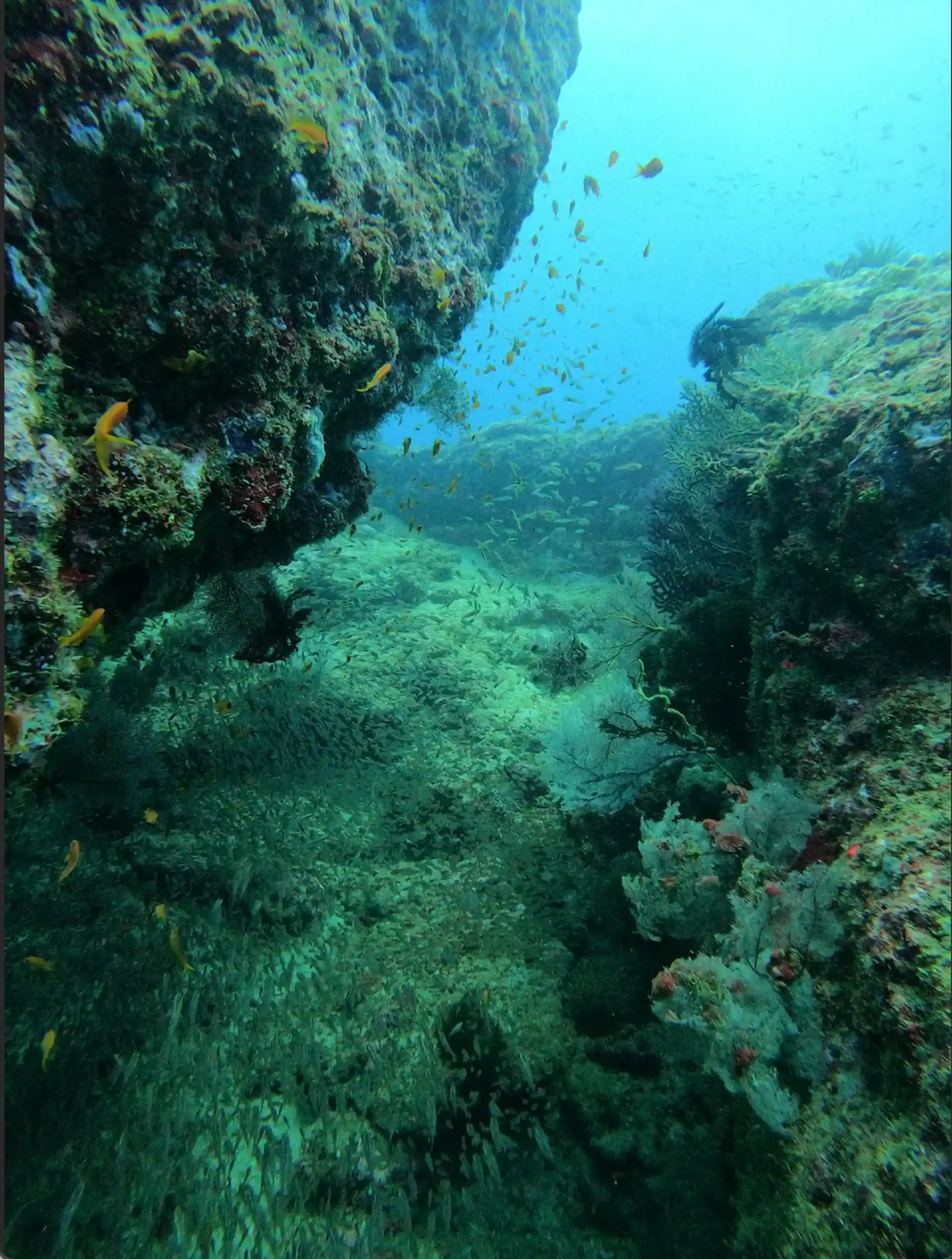 Dive site photo