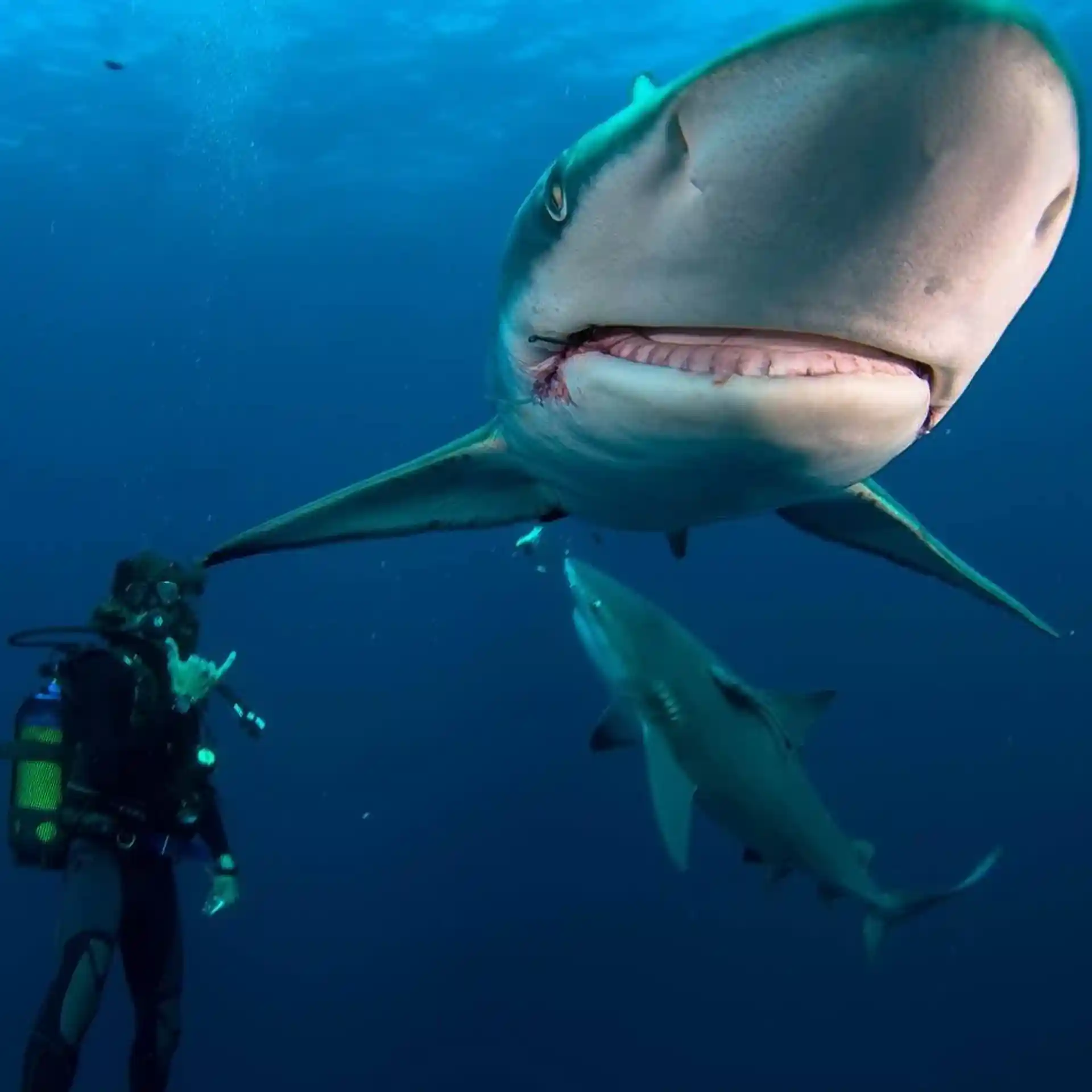 Dive shop photo