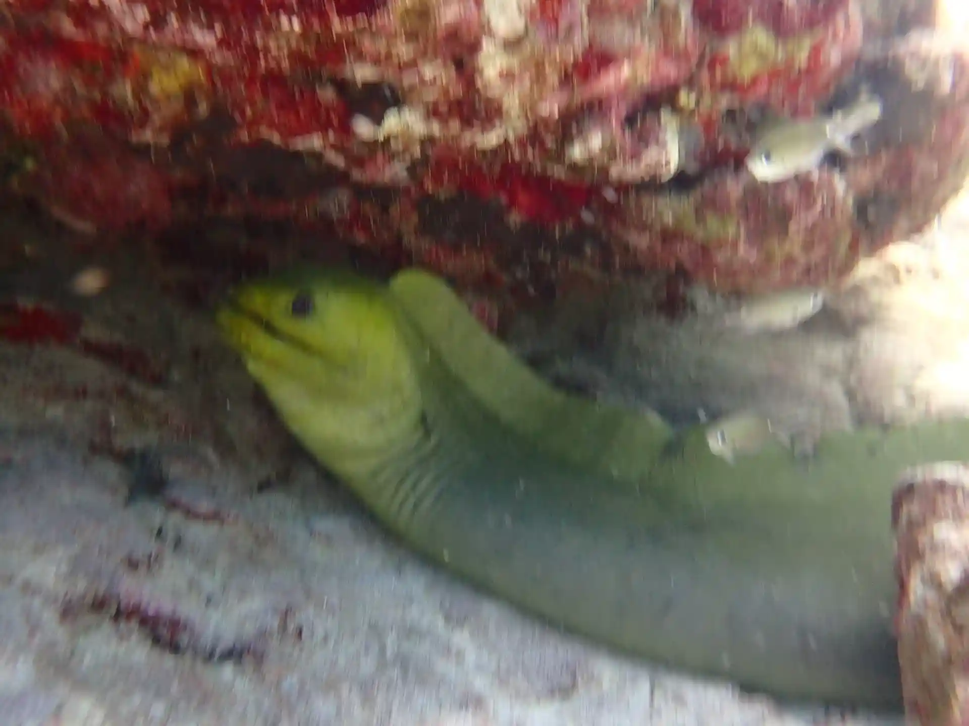 ダイビングサイトの写真