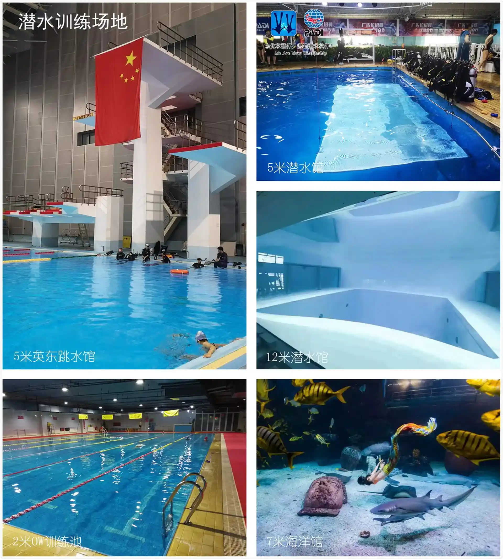 潜店照片