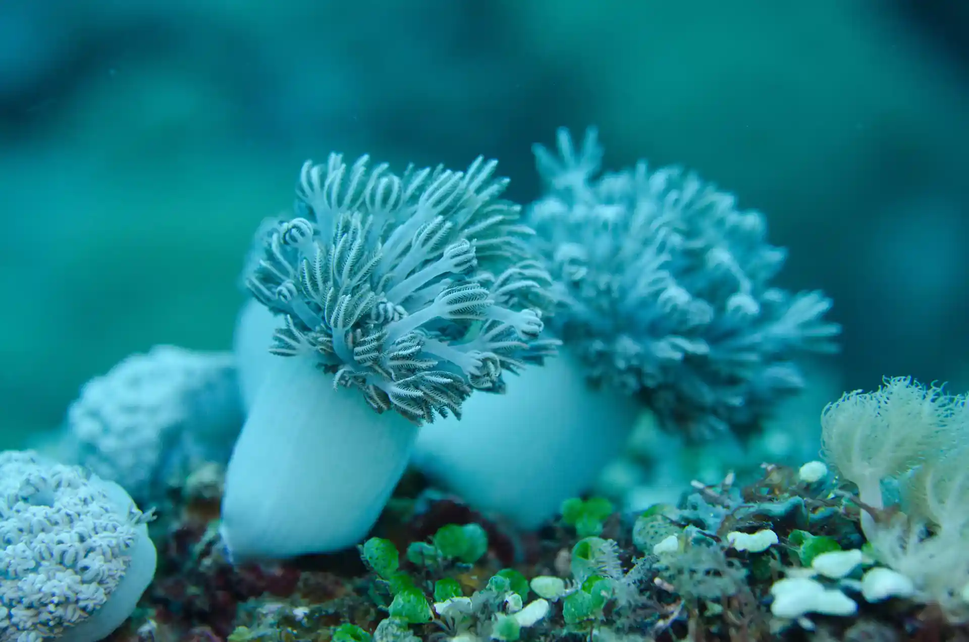 Dive shop photo