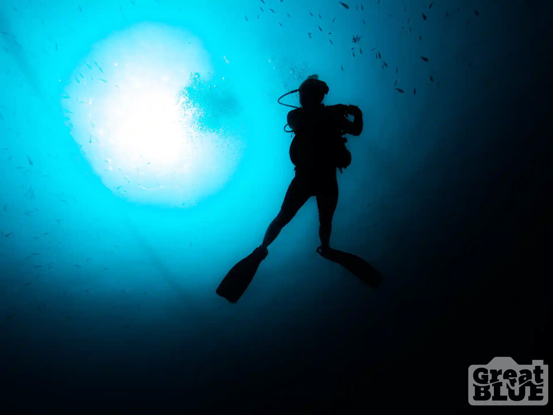 Dive shop photo