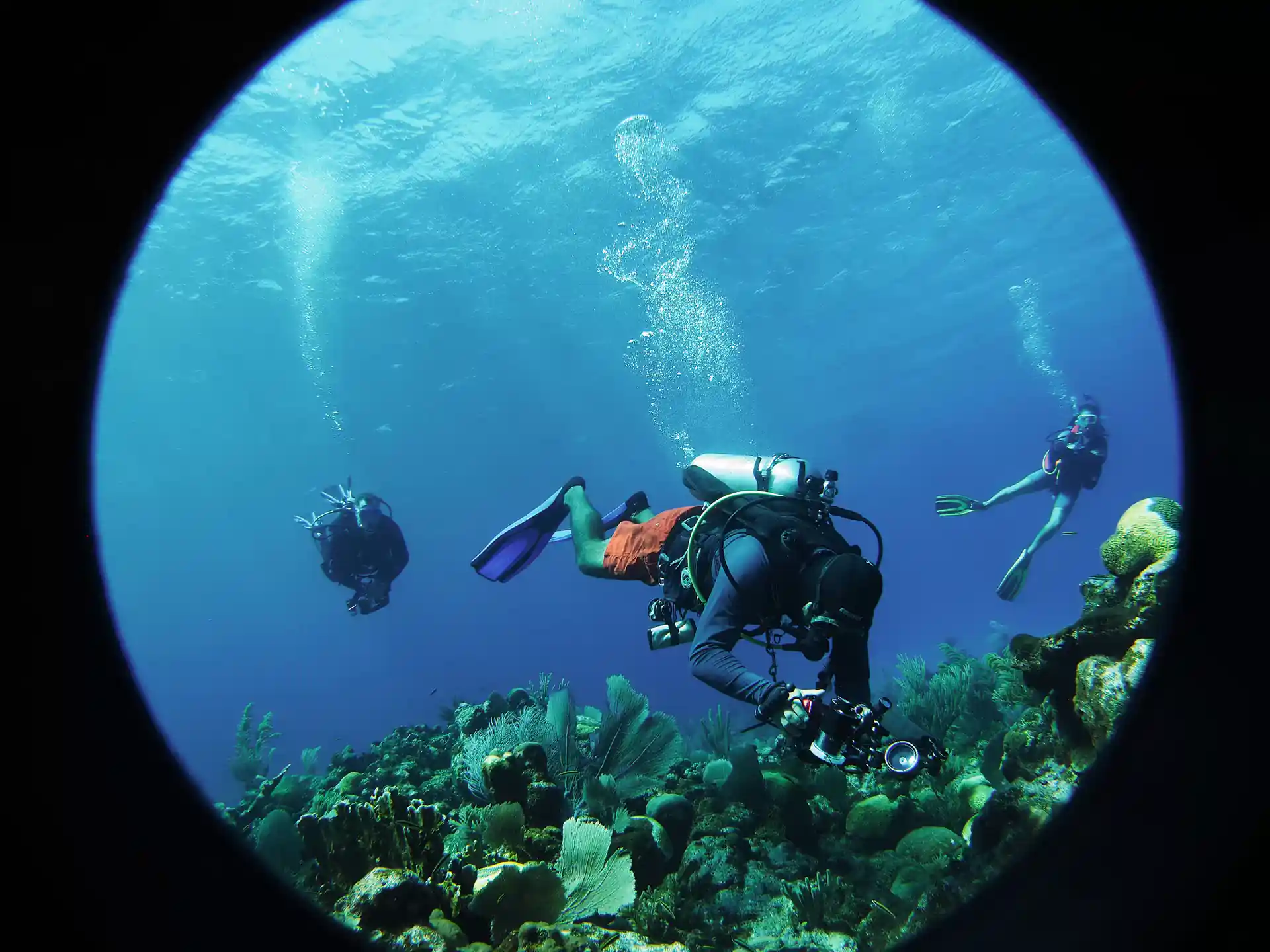 Photo de l'activité