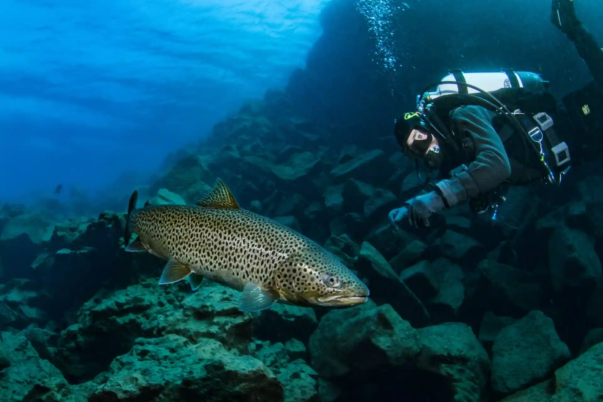 Dive site photo