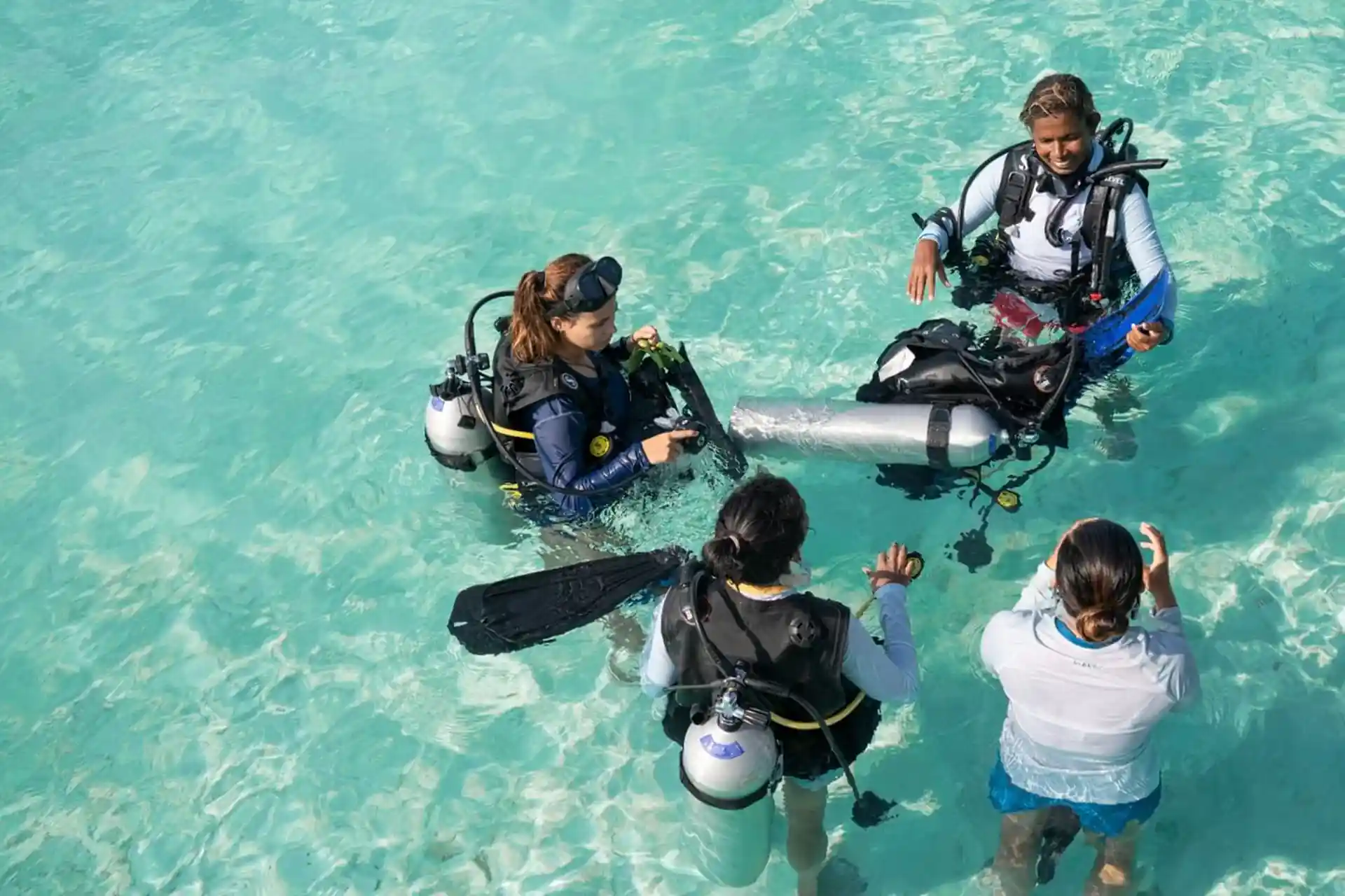 Enjoy the joy of group dives