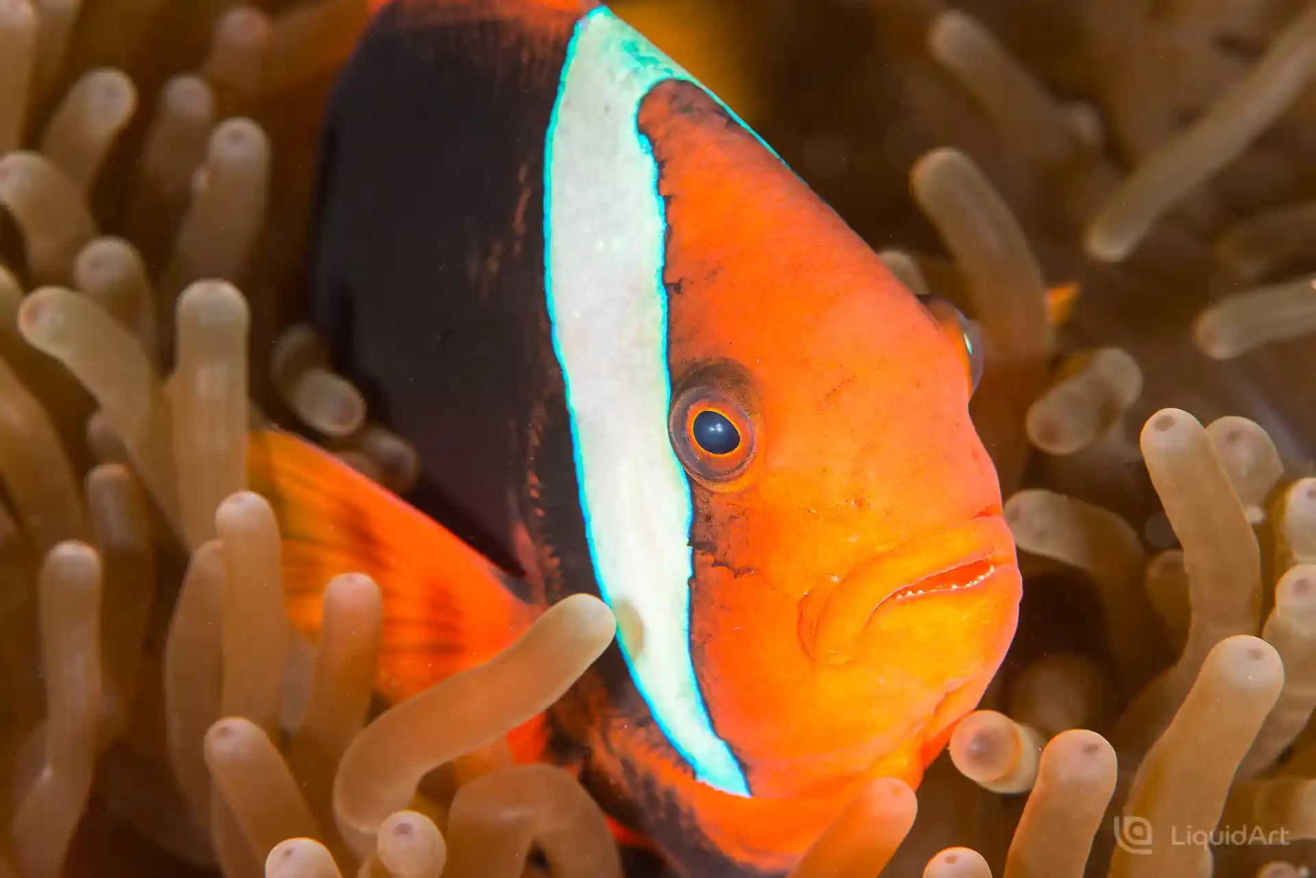 Foto des Tauchplatzes