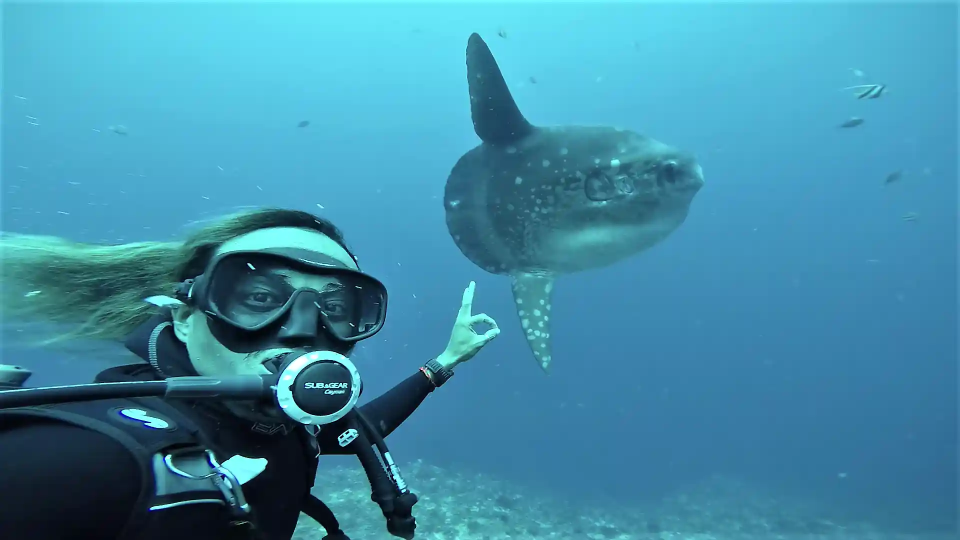 Photo de l'activité