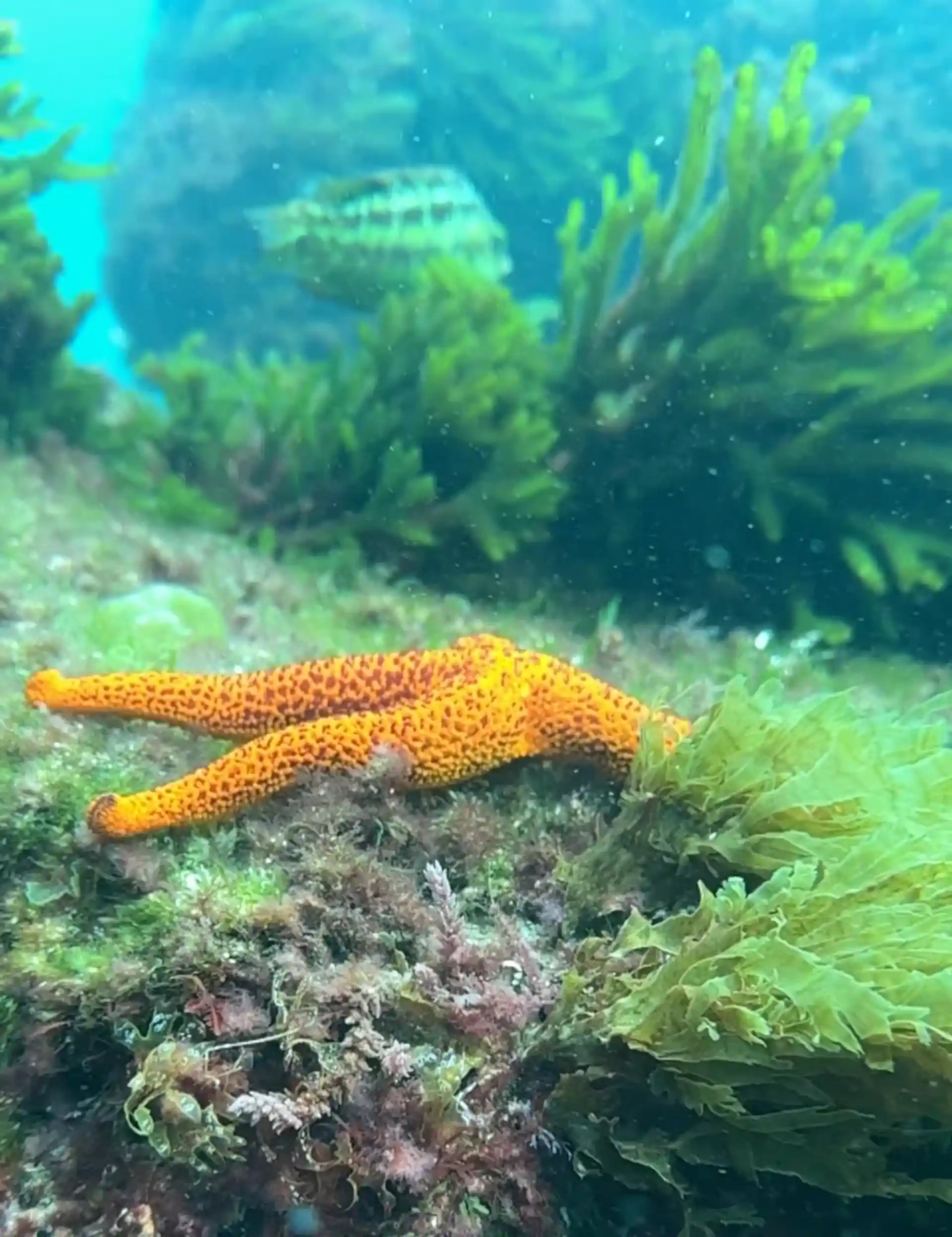 Dive site photo