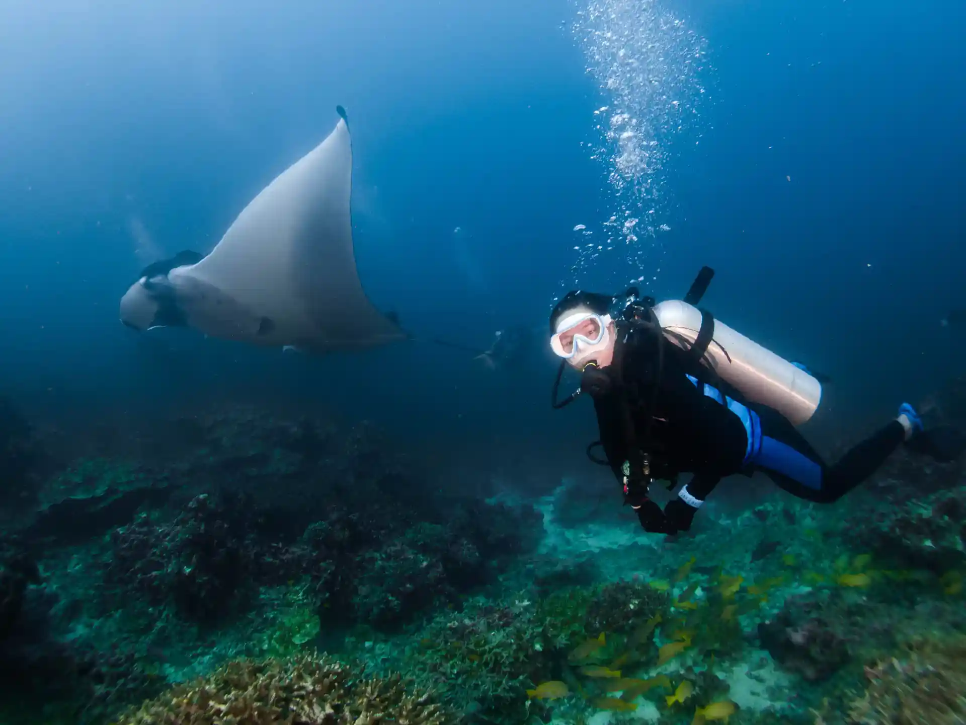 Foto de la actividad