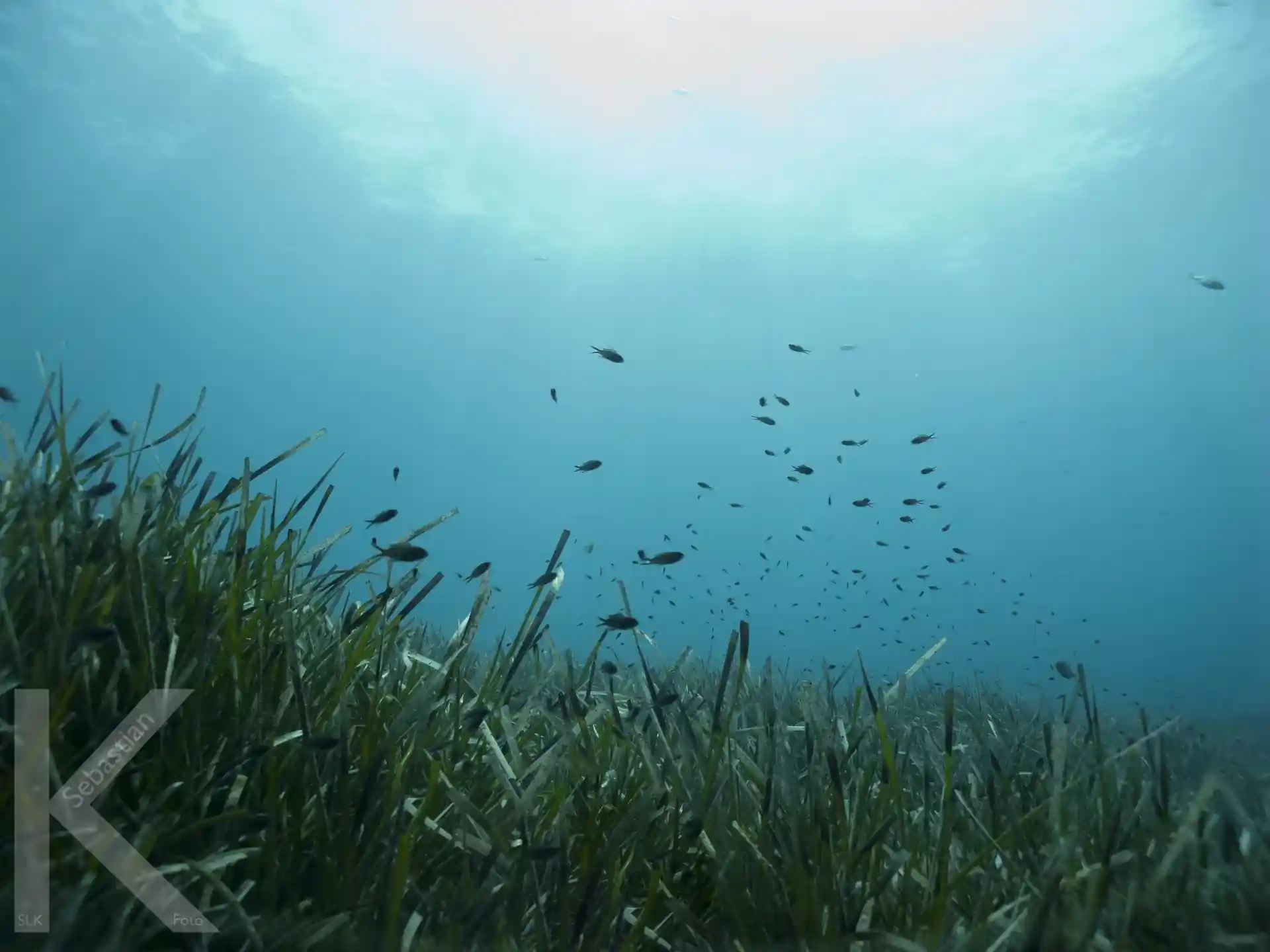 Dive site photo