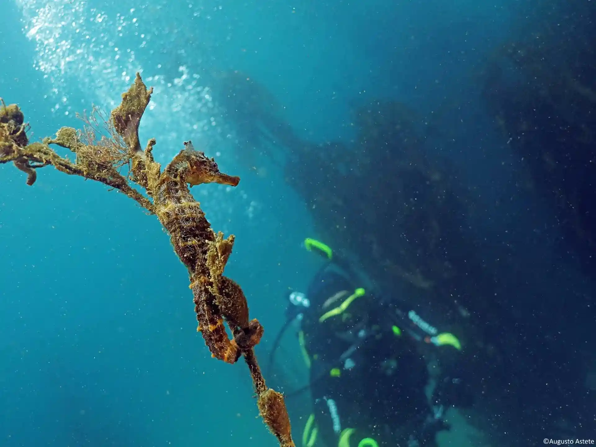 Foto del sitio de buceo
