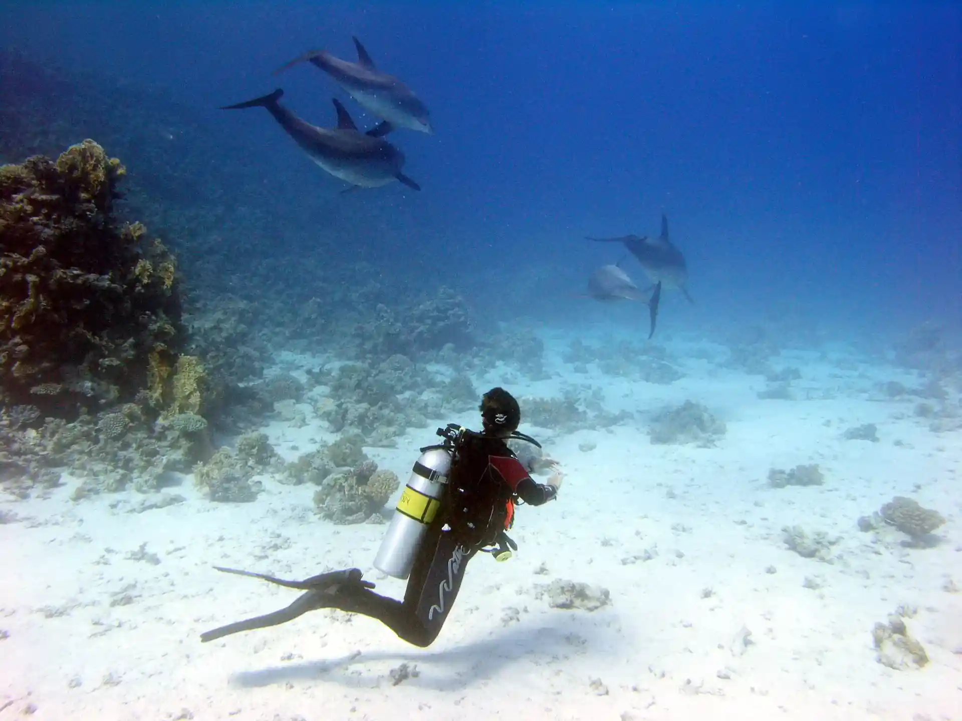 Foto des Tauchplatzes