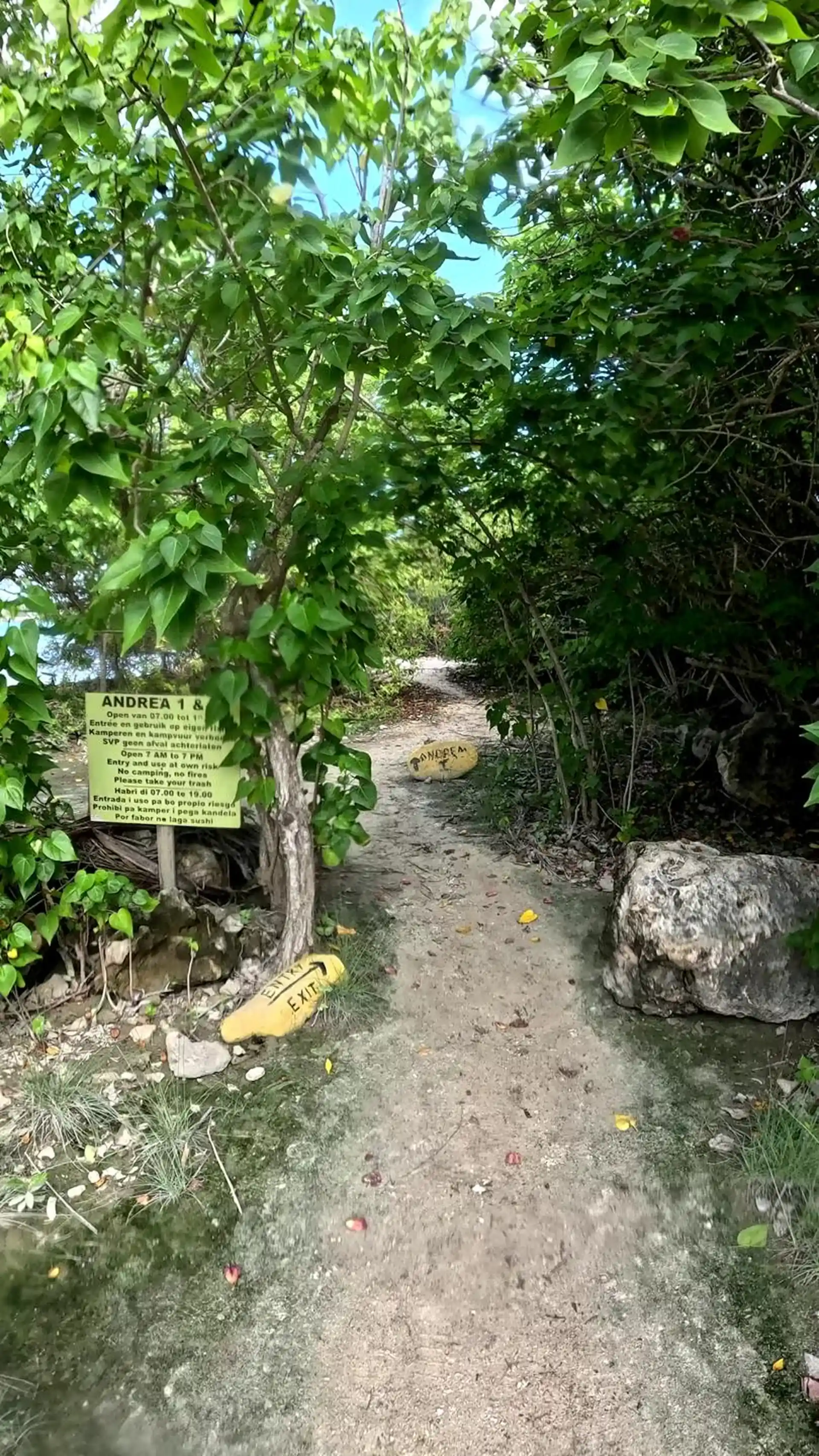 다이빙 포인트 사진