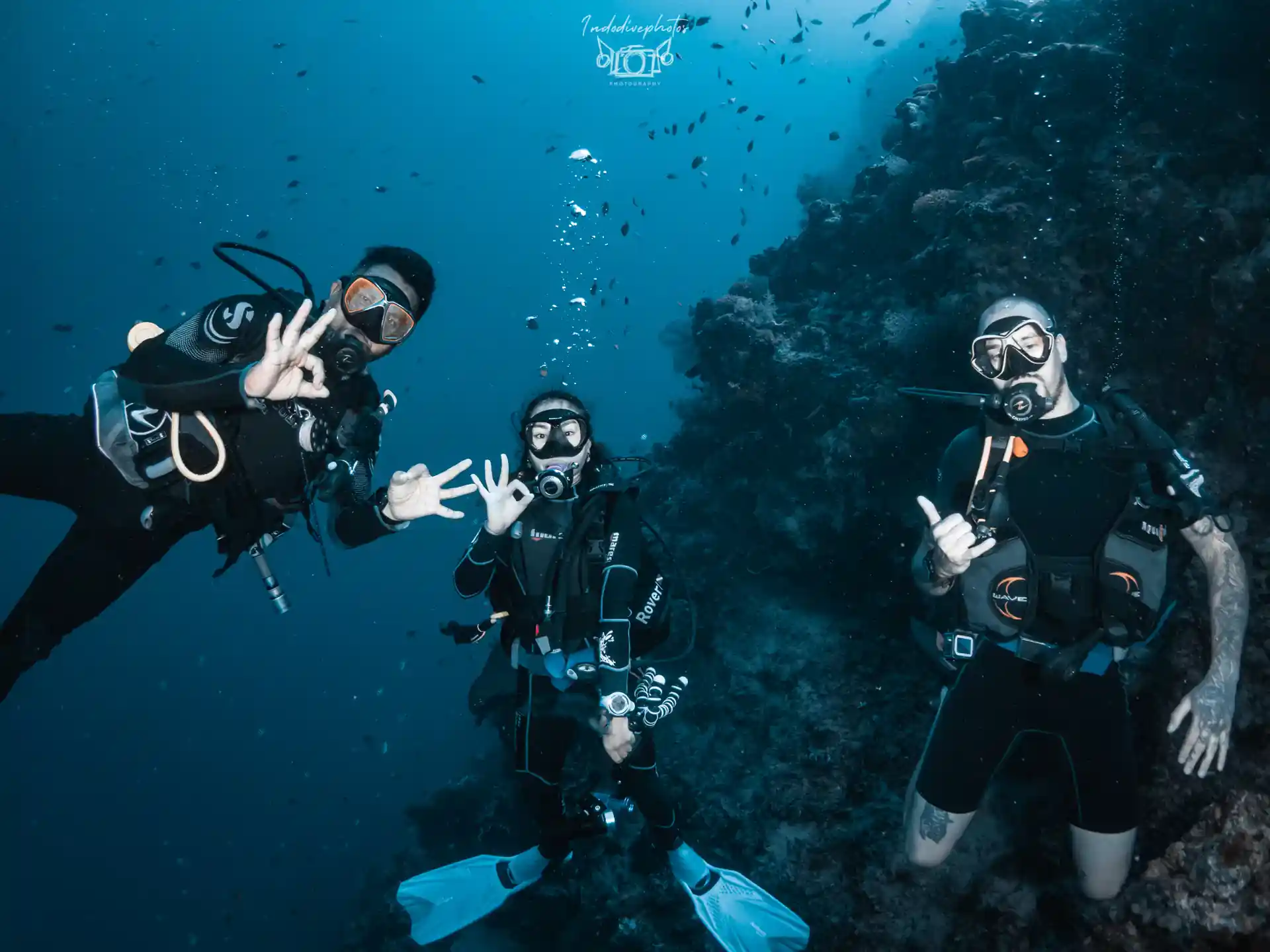 Deep dive at Menjangan Island