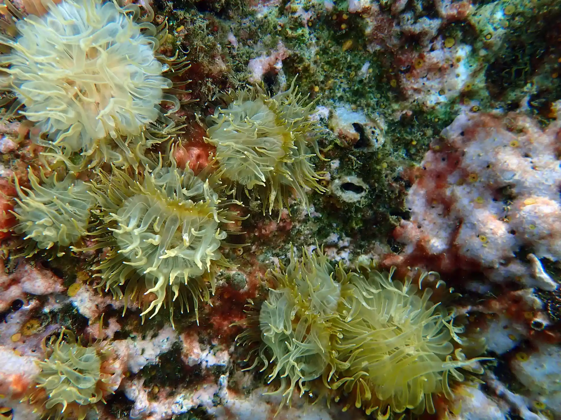 Foto de la actividad