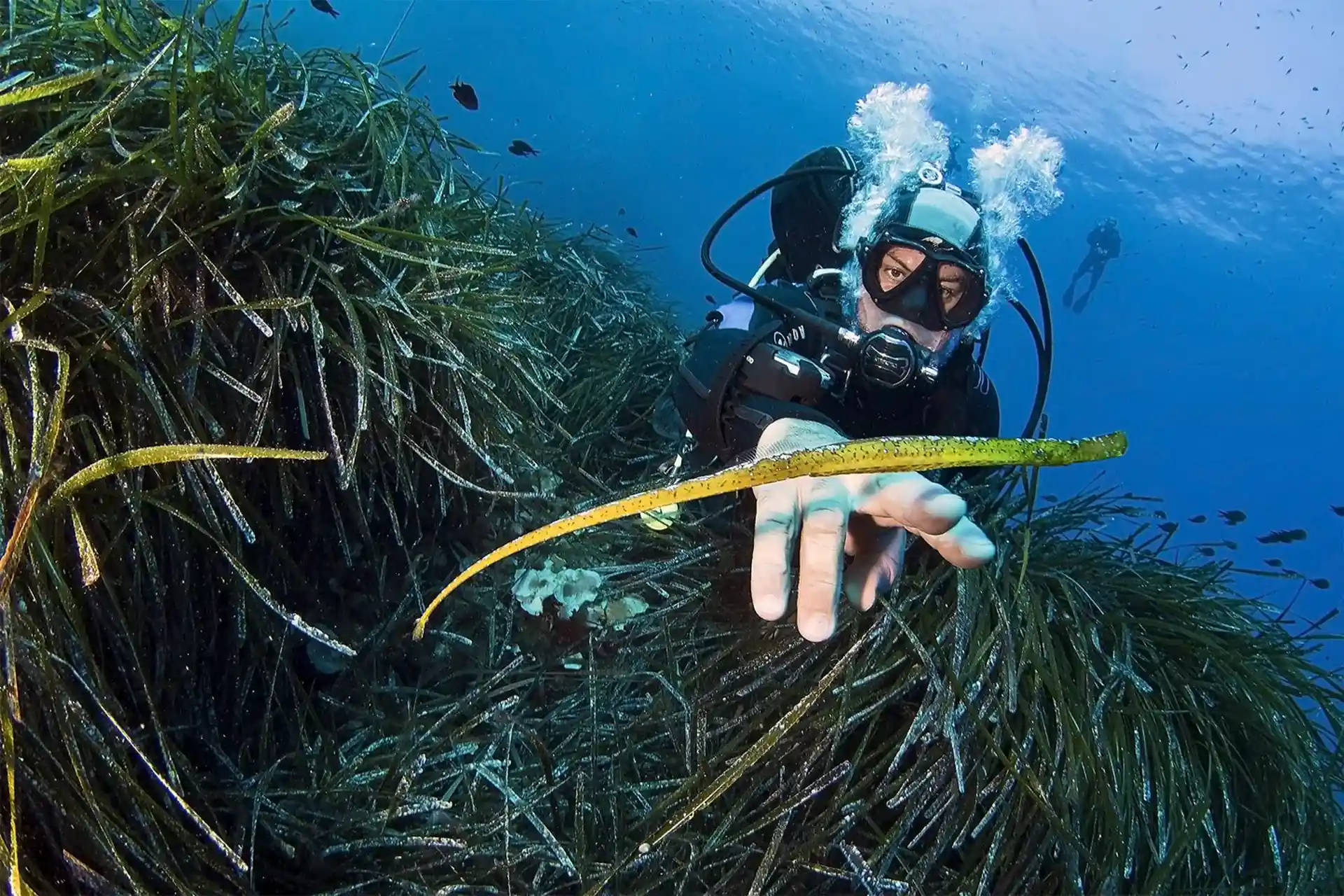 Dive site photo