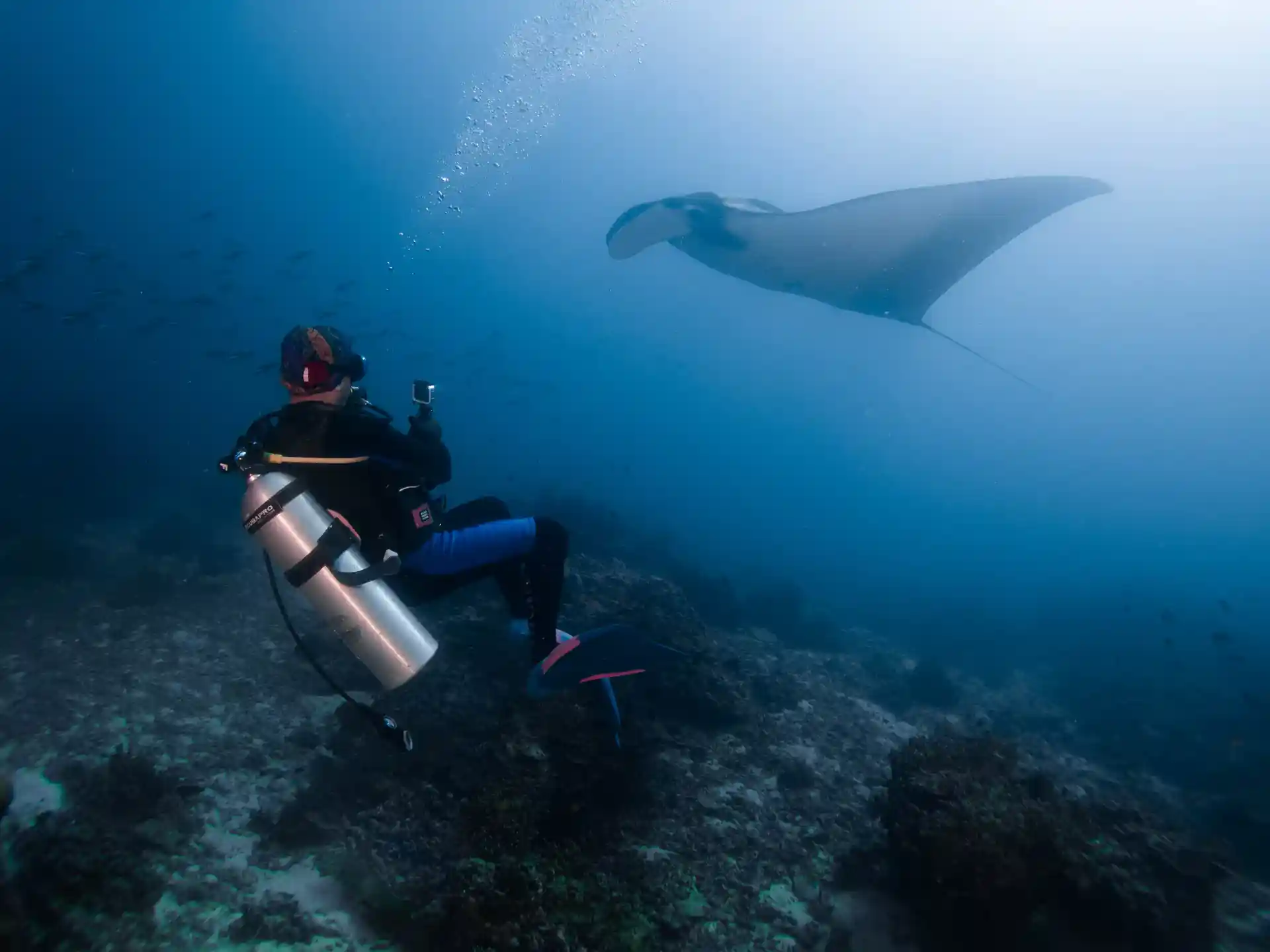 Foto de la actividad