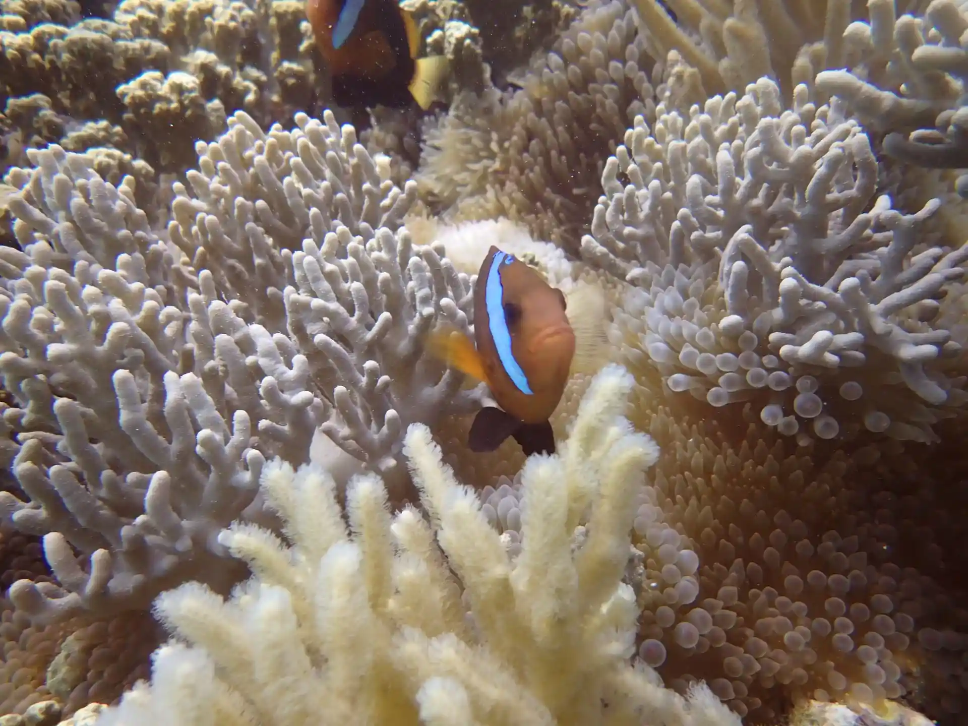 Foto des Tauchplatzes