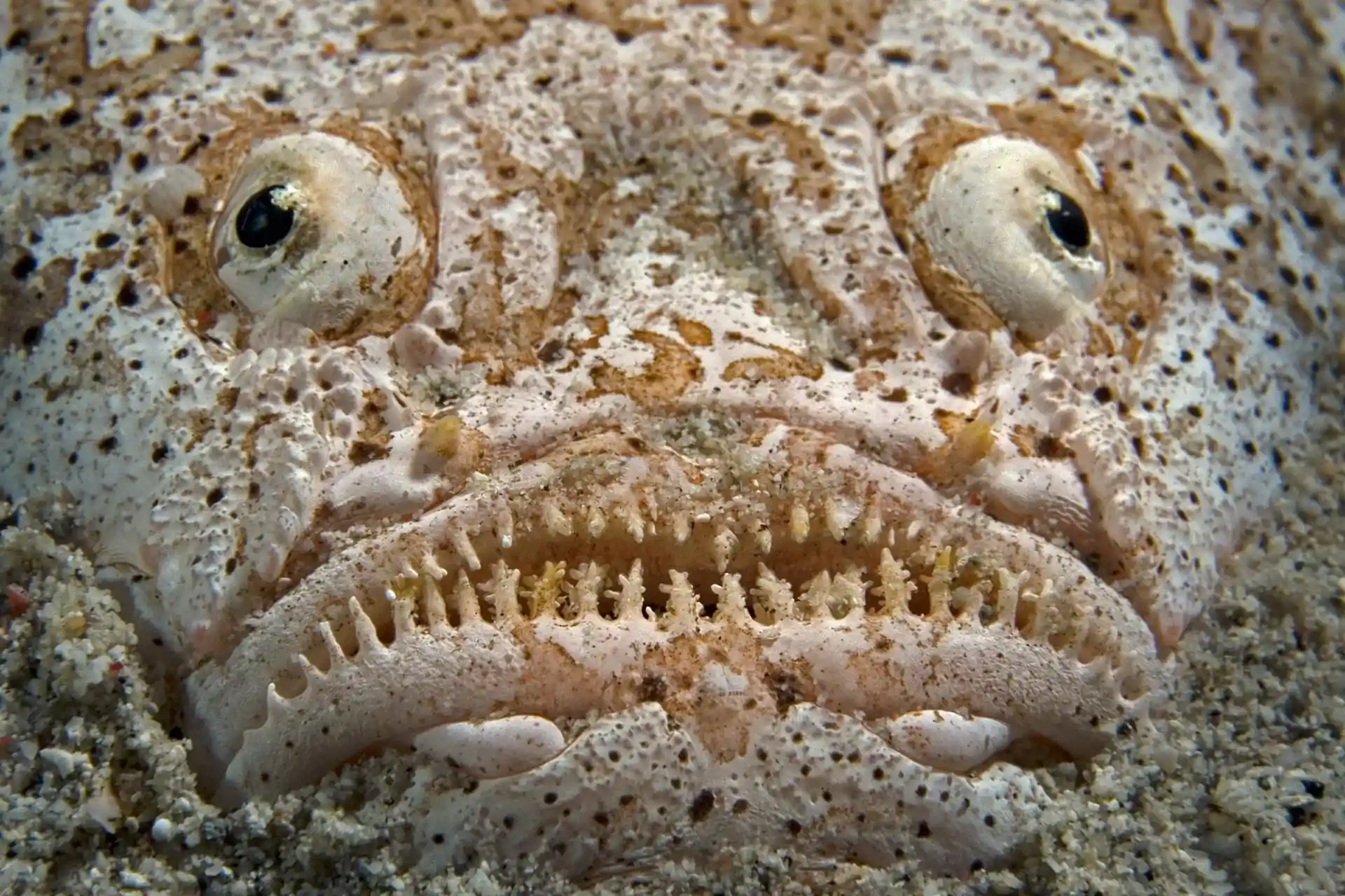 Photo du site de plongée