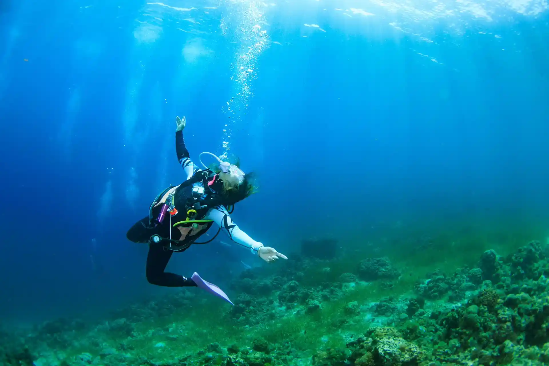 Dive shop photo