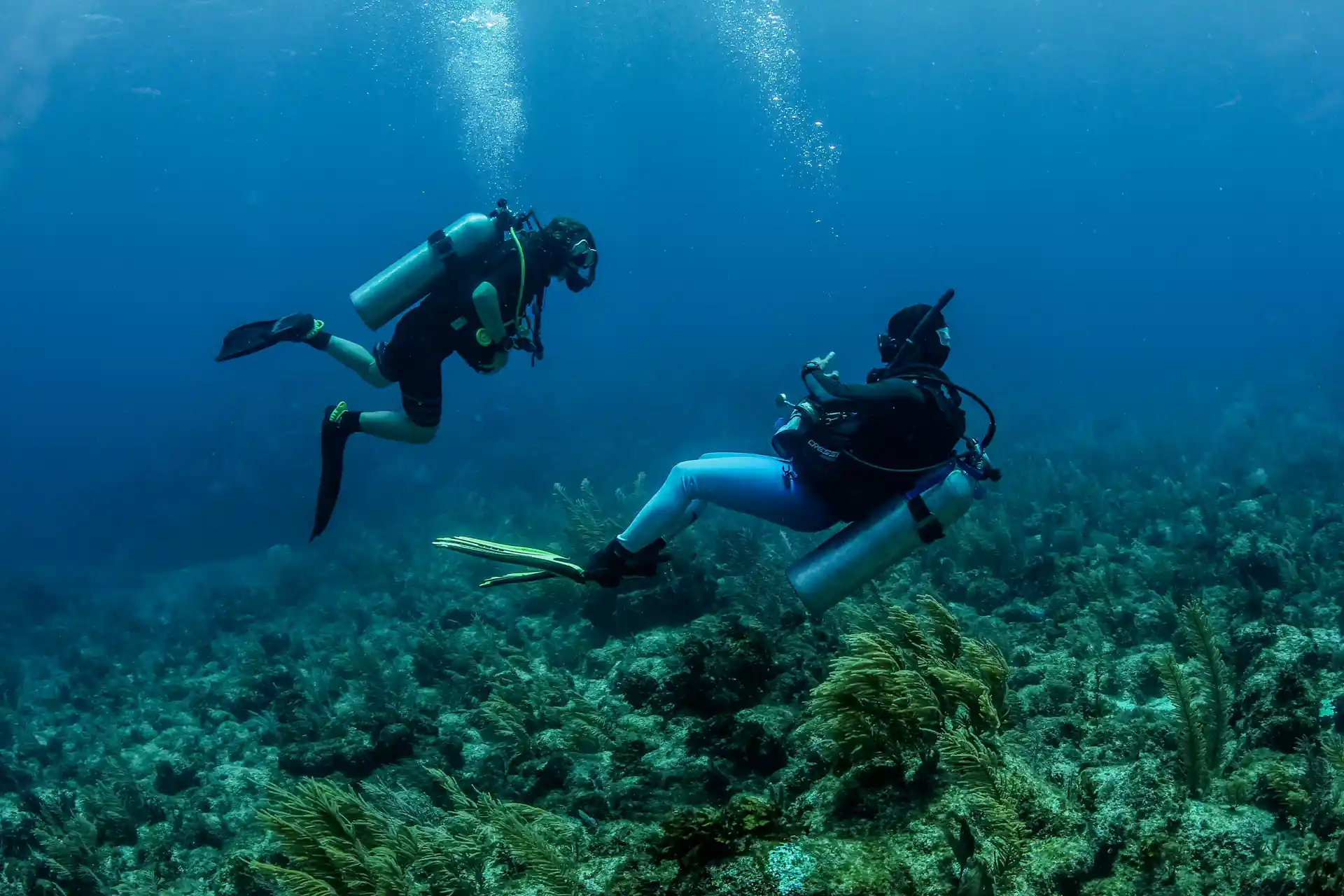 Posso nuotare all'indietro.